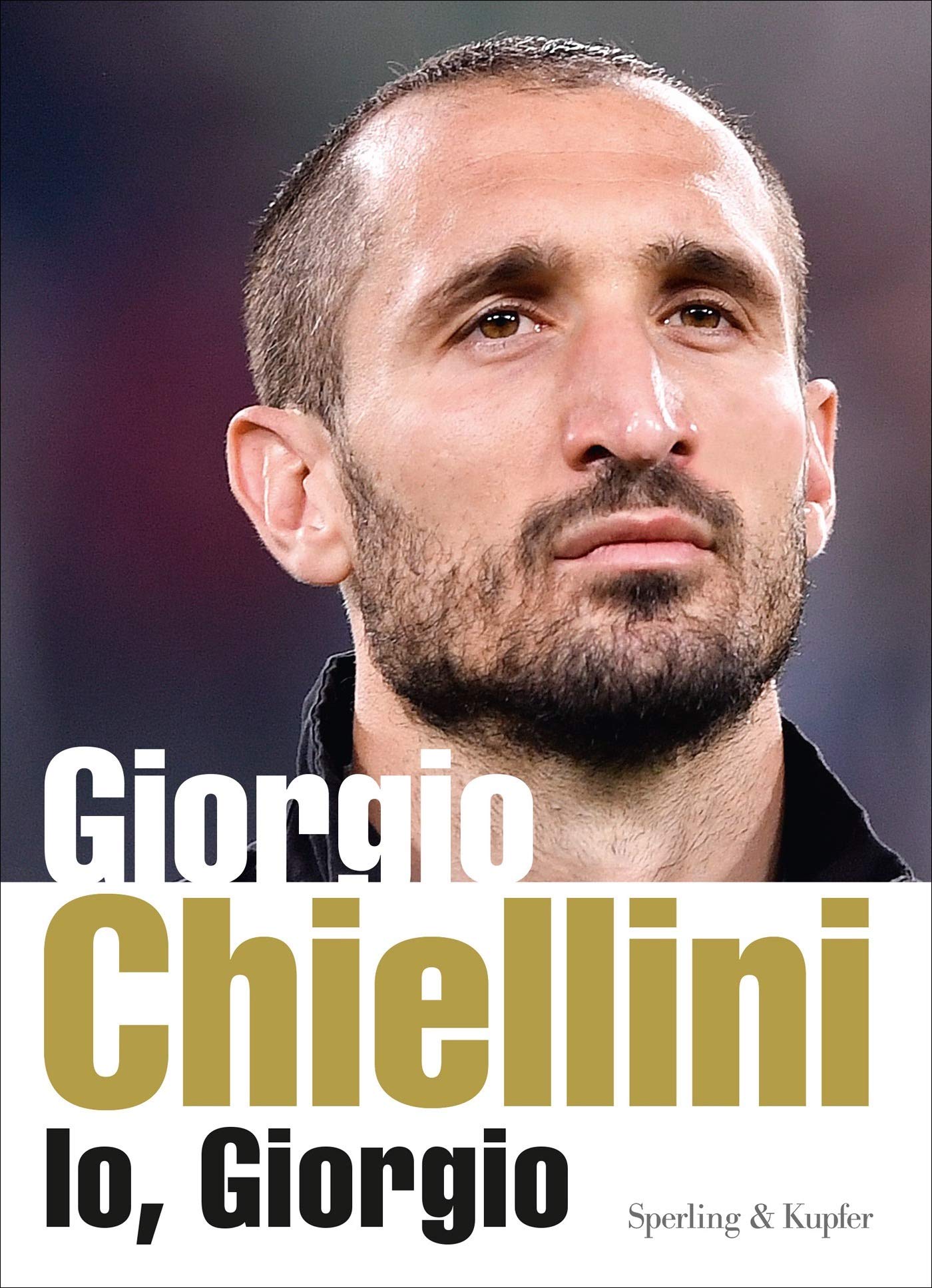 Il difensore perfetto
