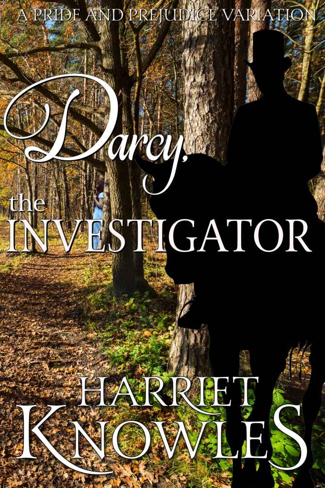 The Diverse Lives of Fitzwilliam Darcy book cover 3