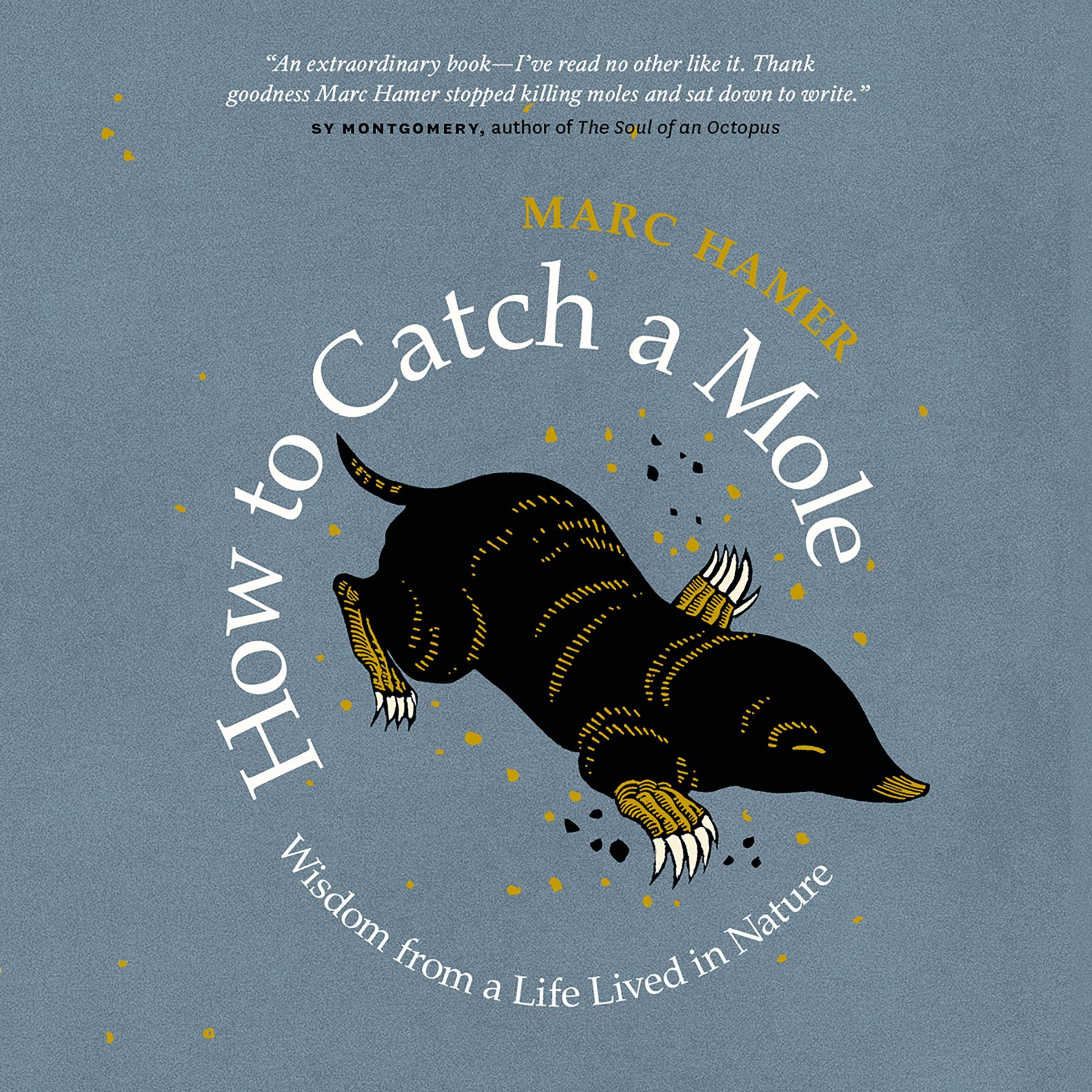 How to Catch a Mole: Wisdom from a Life Lived in Nature