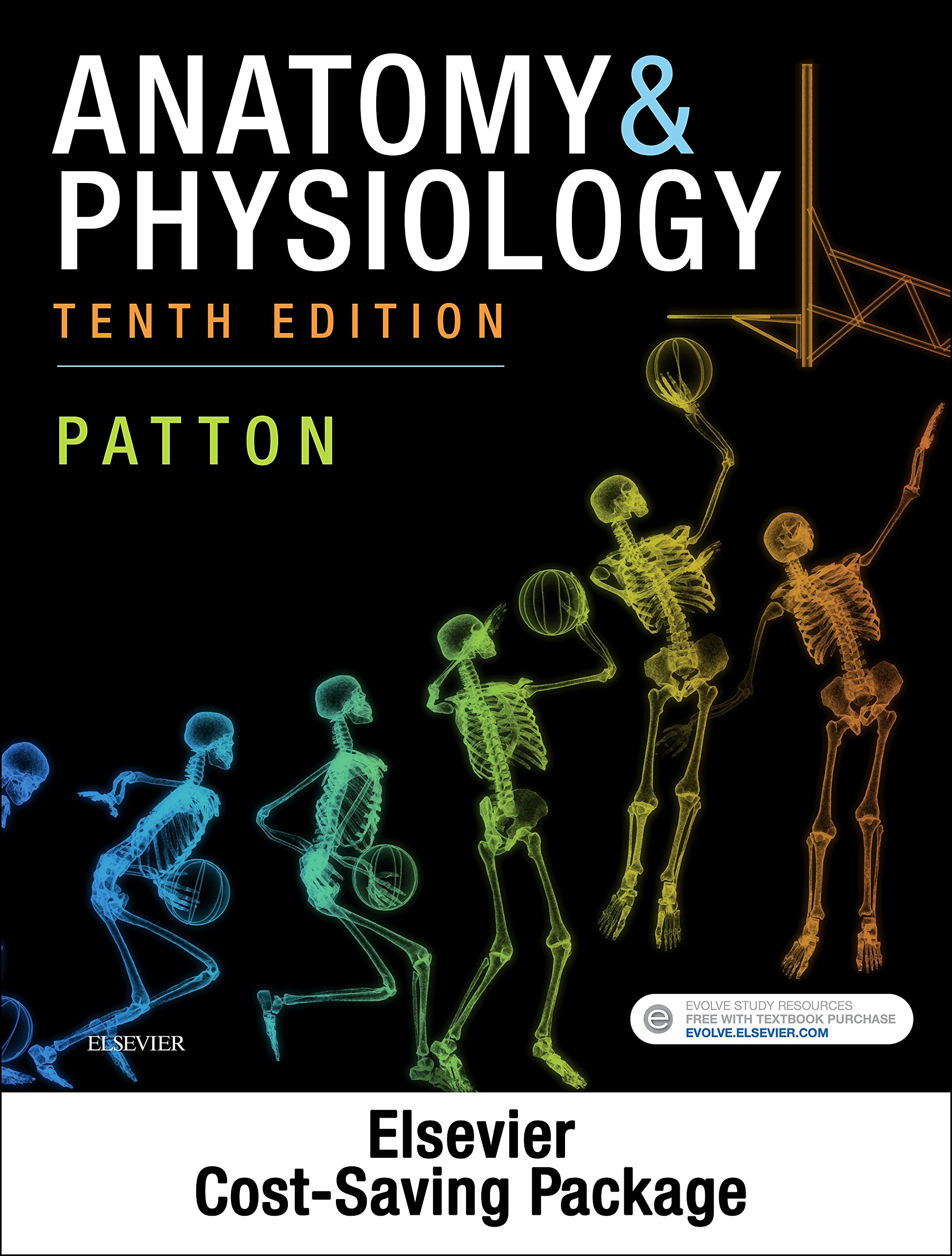 Anatomy &amp; Physiology and Brief Atlas of the Human Body &amp; Quick Guide to ...