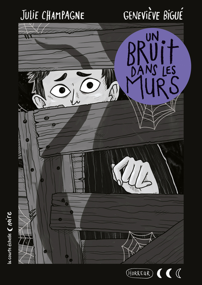 Un bruit dans les murs book cover