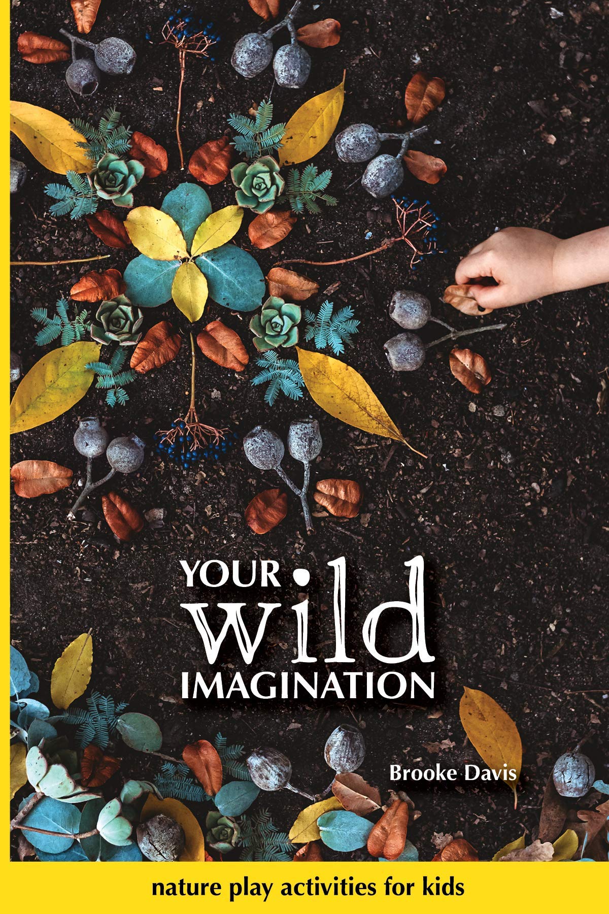 Your Wild Imagination: nature play activities for kids by Brooke Davis ...