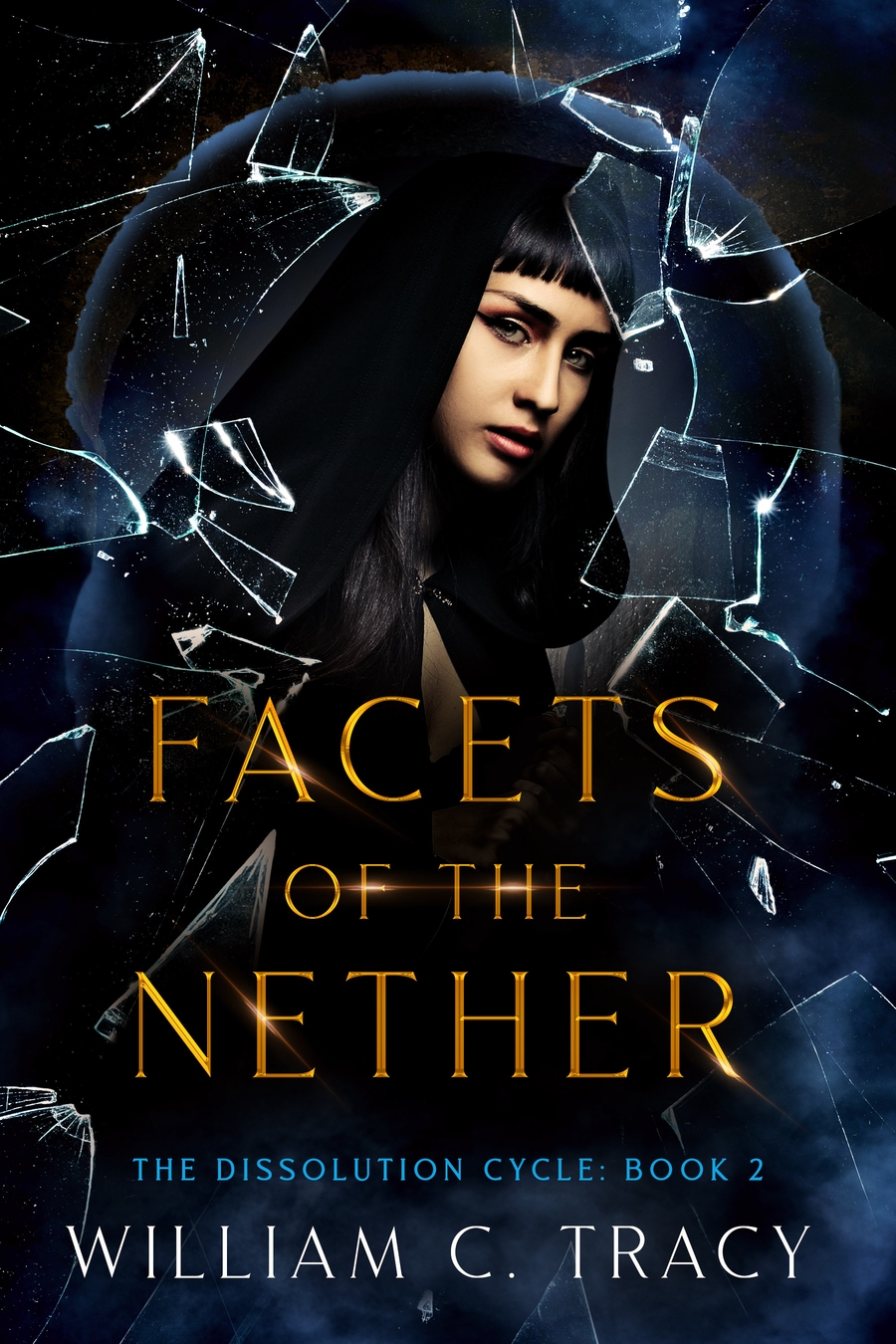 Facets of the Nether book cover