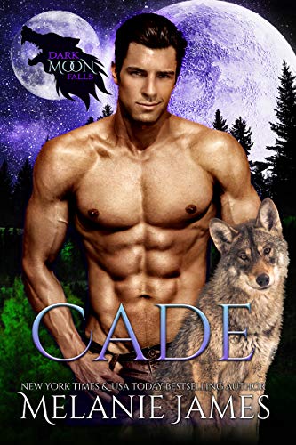 Dark Moon Falls book cover 2