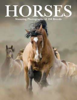 Horses book cover