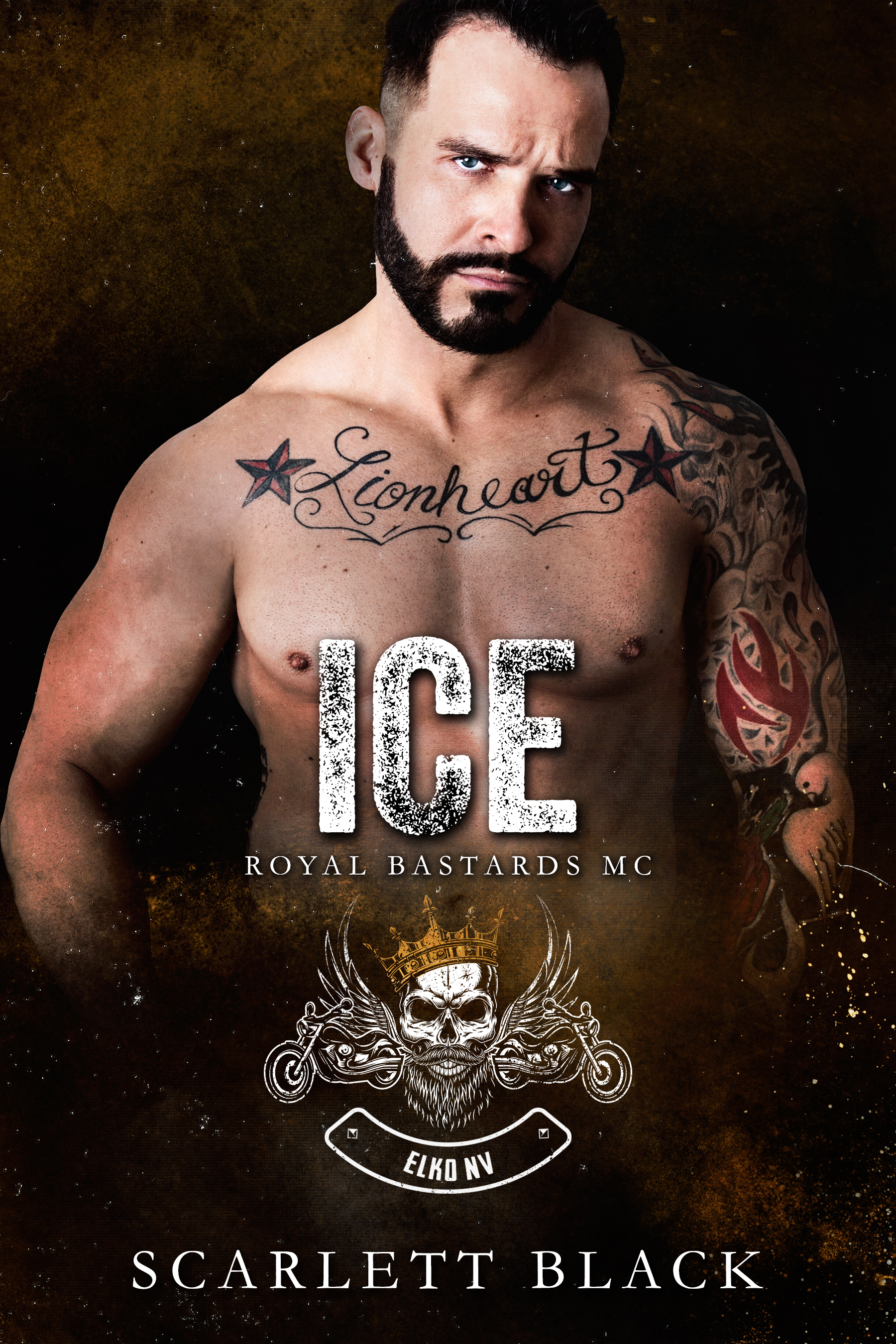 Ice book cover