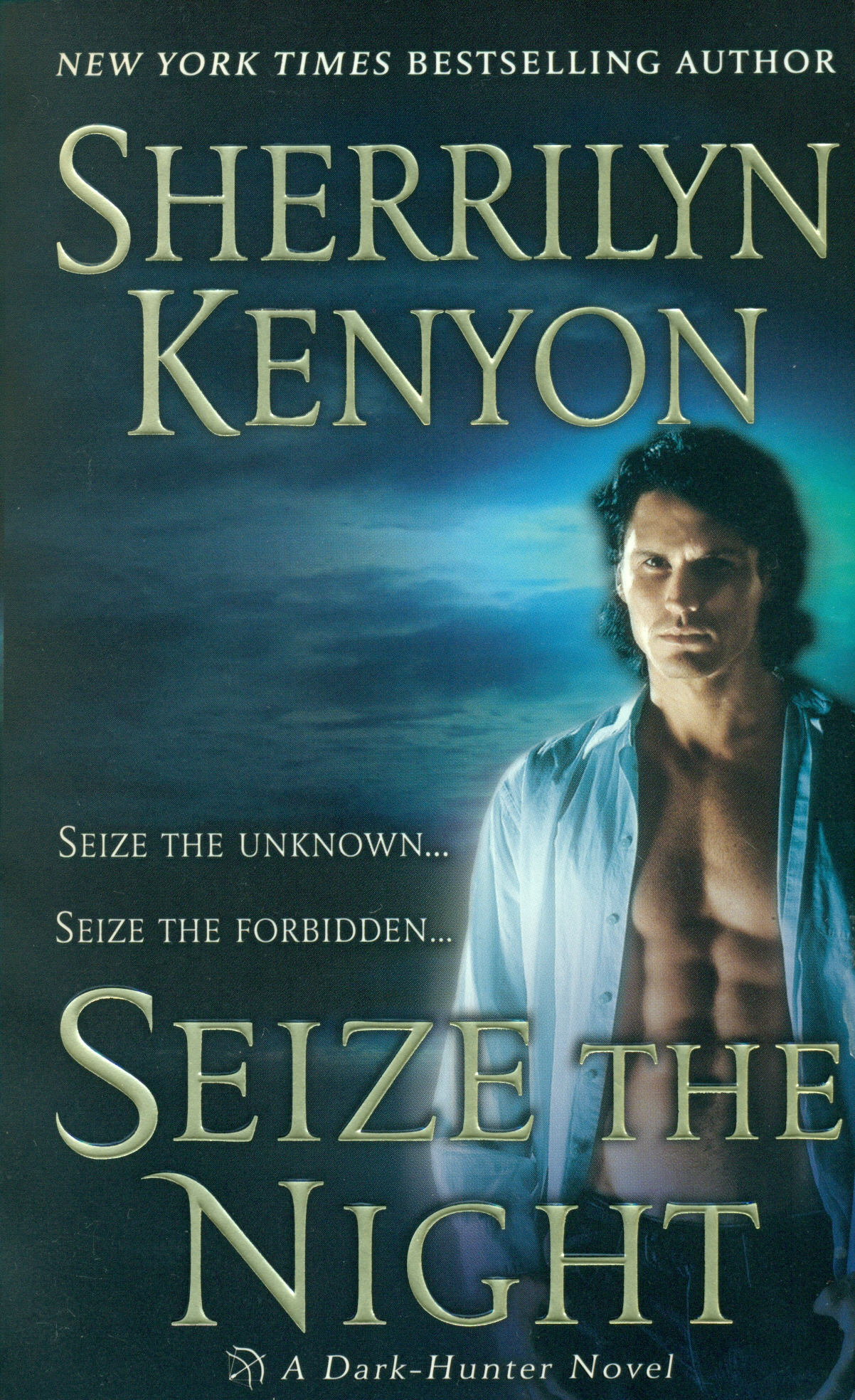 Seize the Night (Dark-Hunter, #5)
