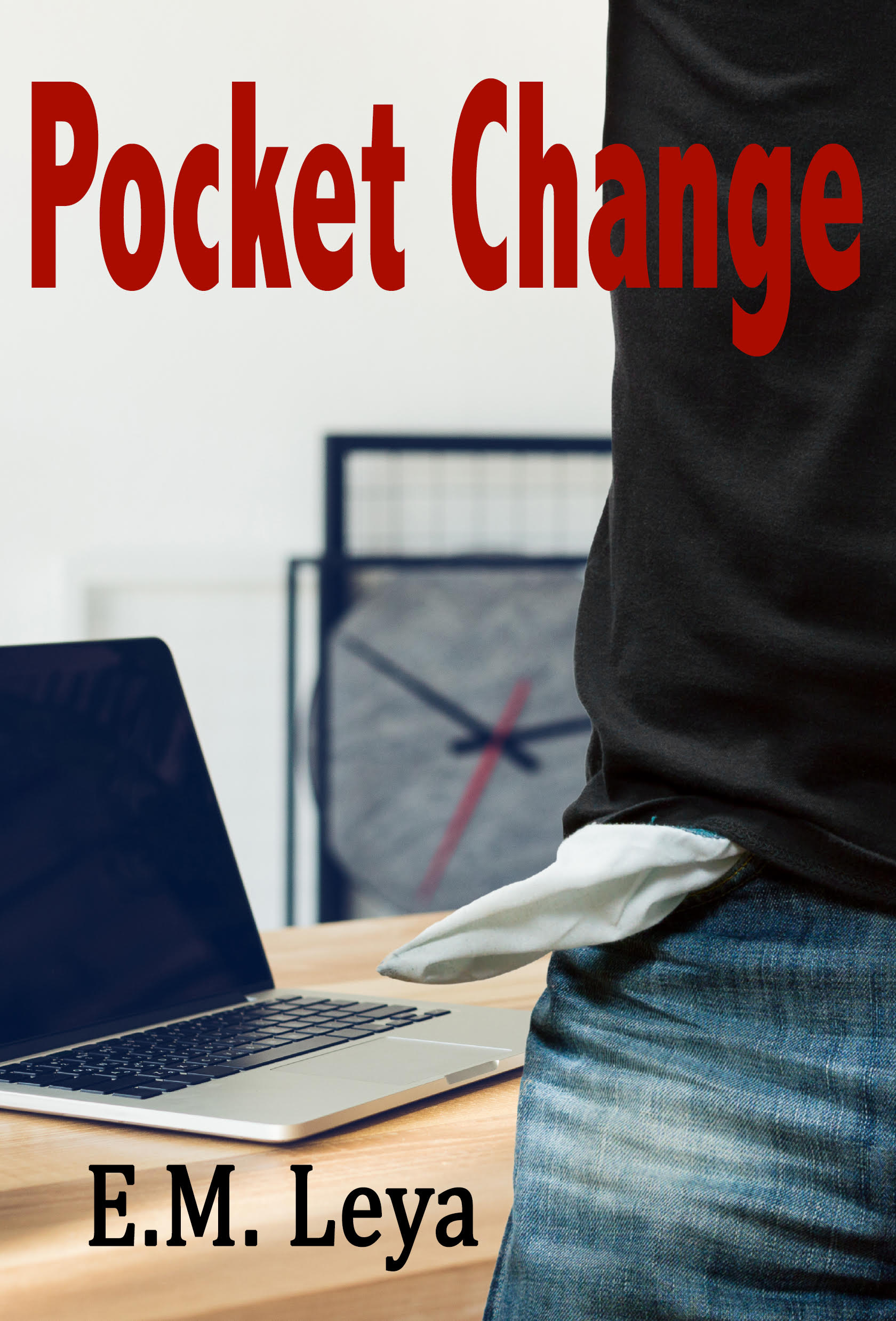 Pocket Change book cover