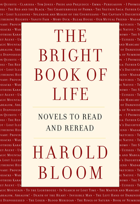 Novels to Read and Reread