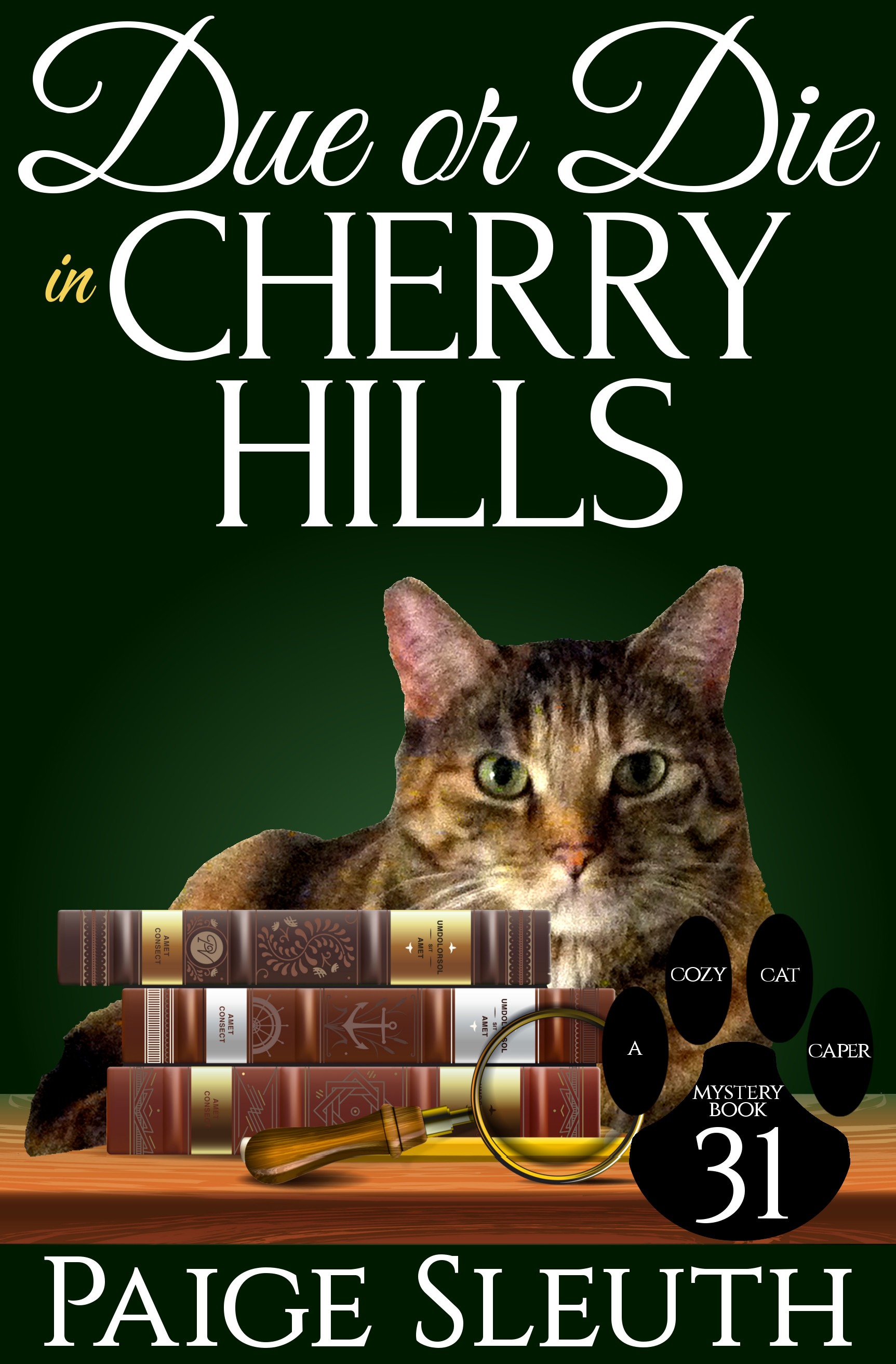 Due or Die in Cherry Hills book cover