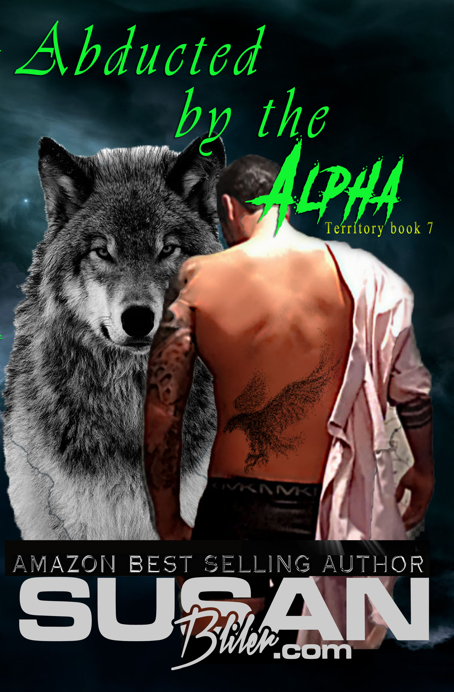 Abducted by the Alpha book cover