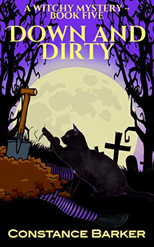 Down and Dirty book cover