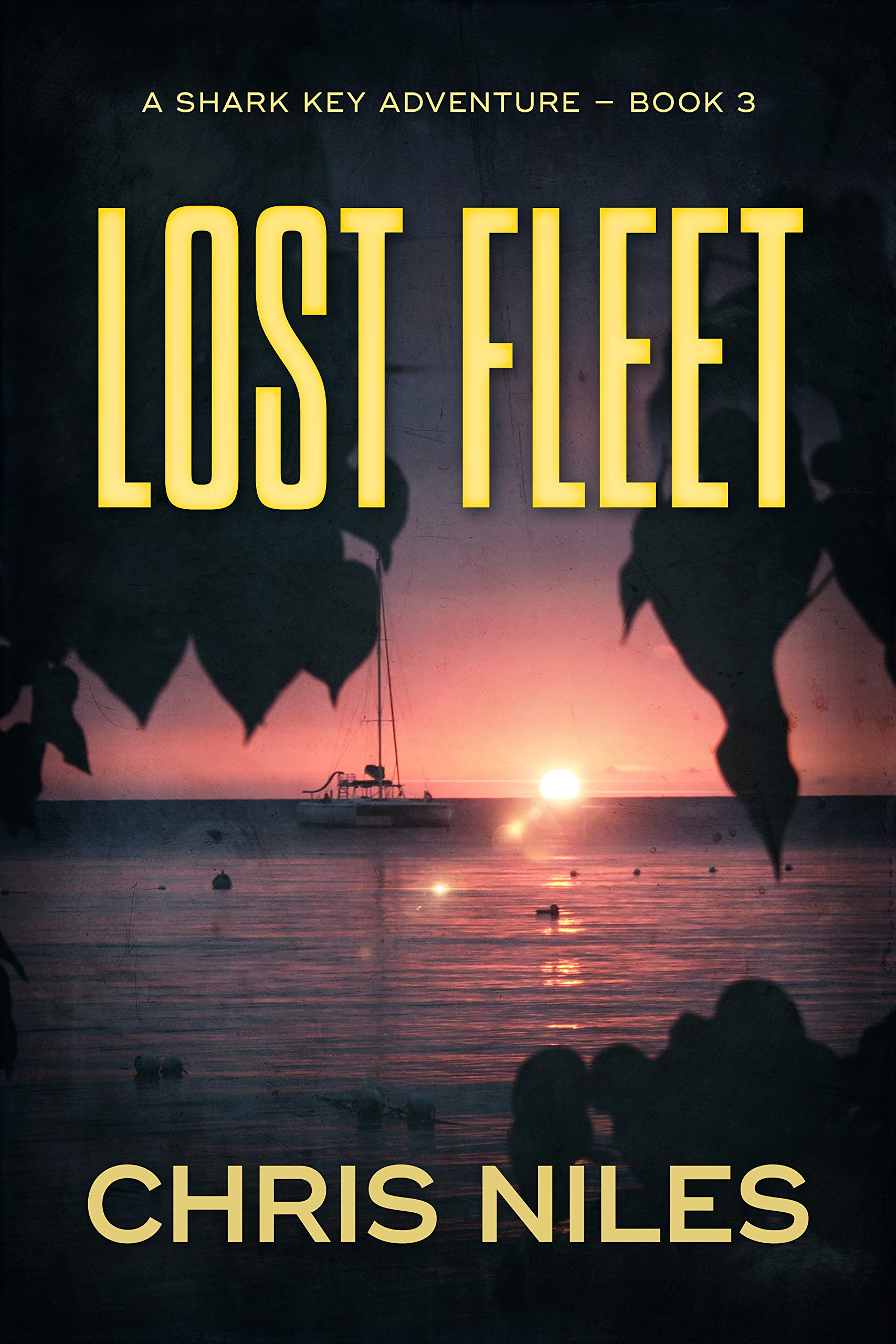 Lost Fleet book cover