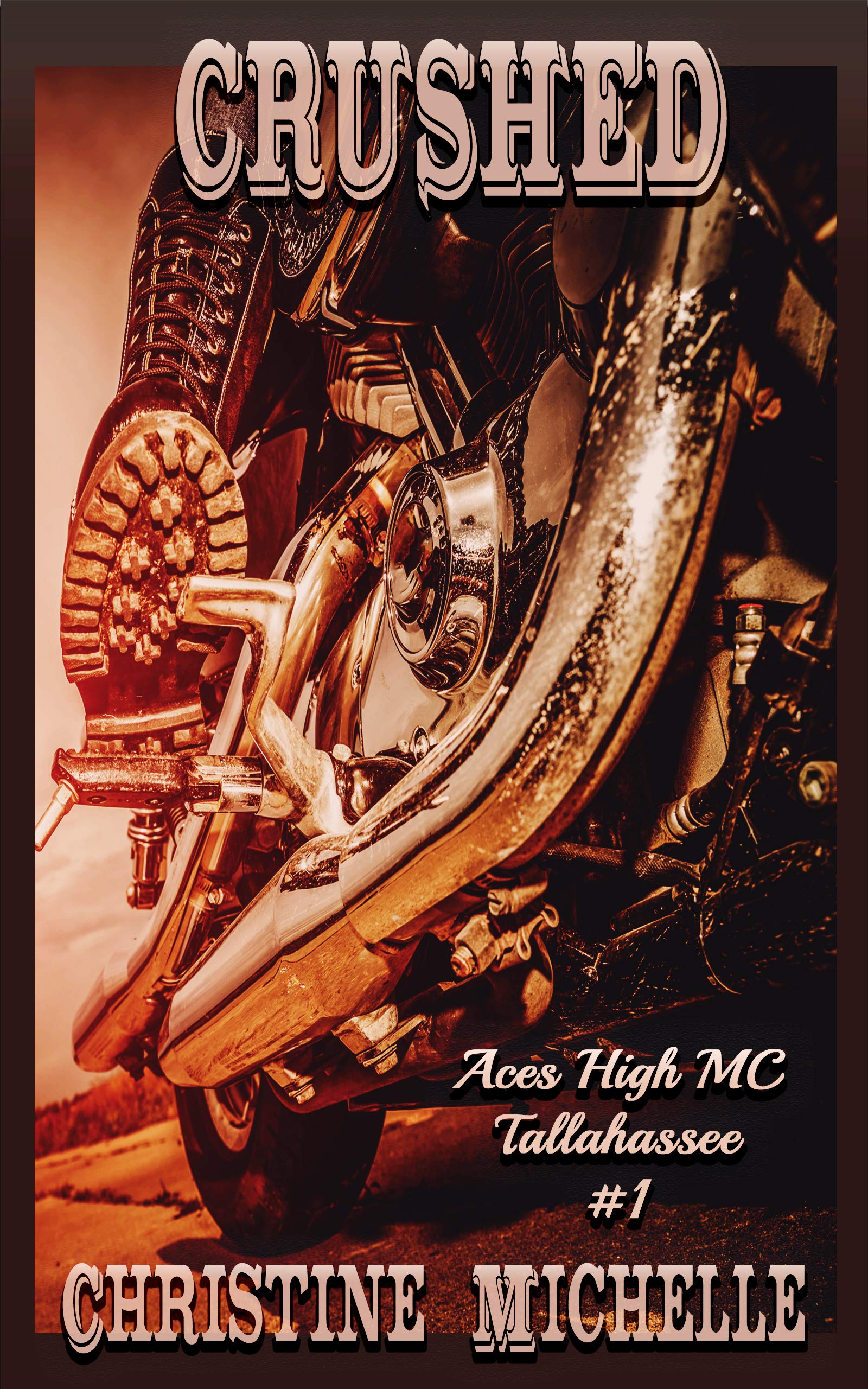 Aces High MC - Tallahassee book cover 1