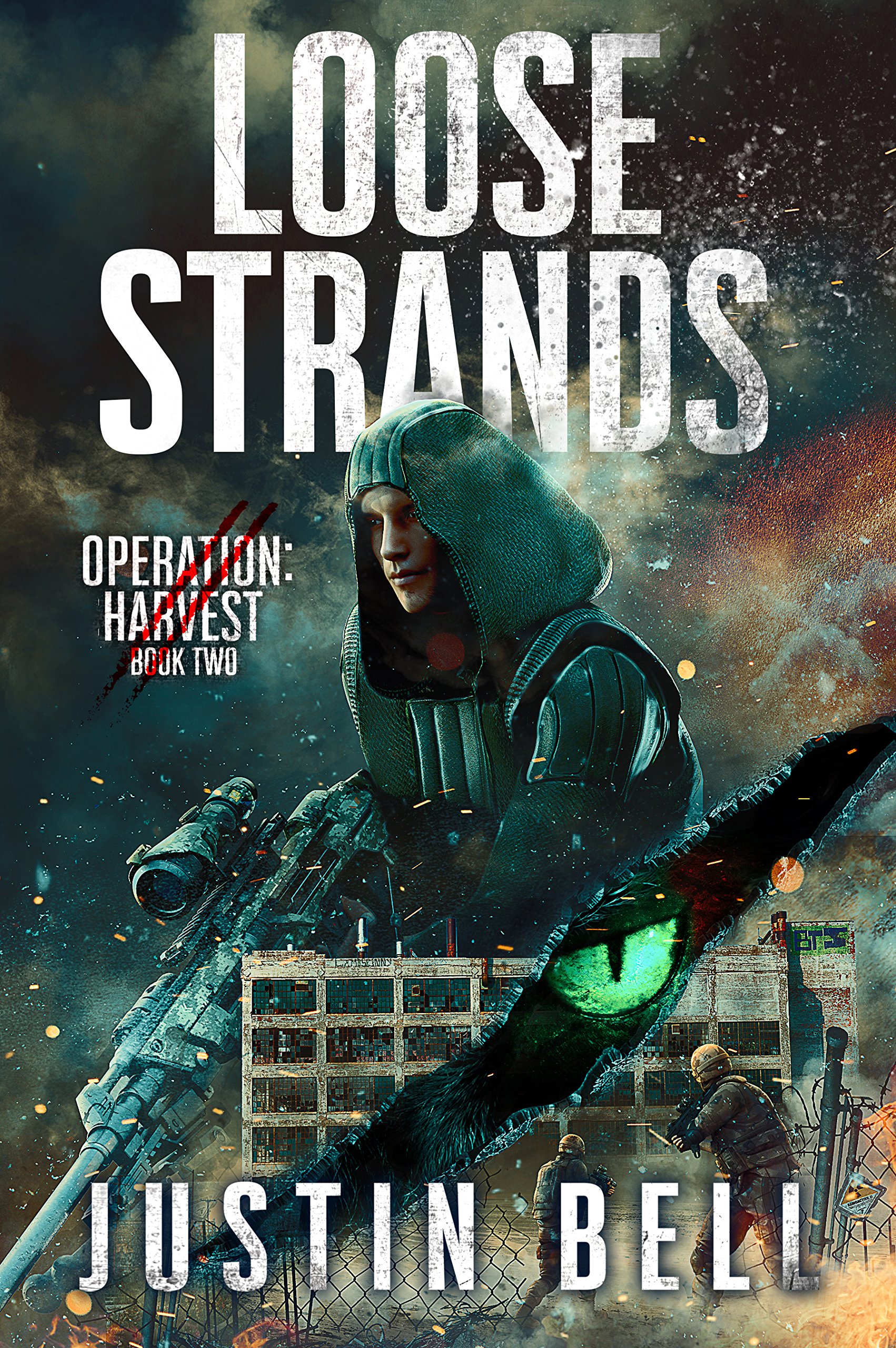 Loose Strands (A Military Techno-Thriller) book cover
