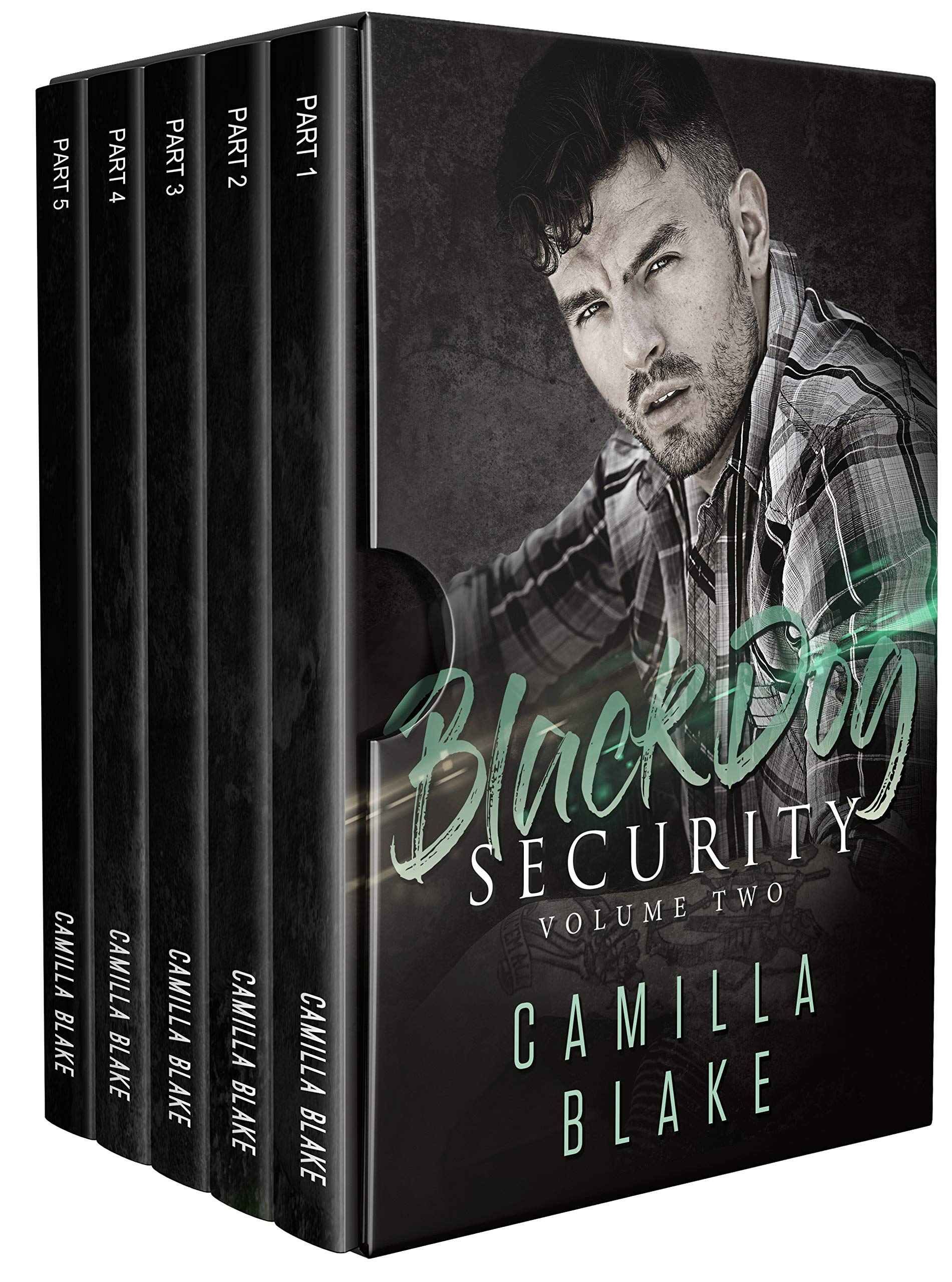 Black Dog Security: Volume Two