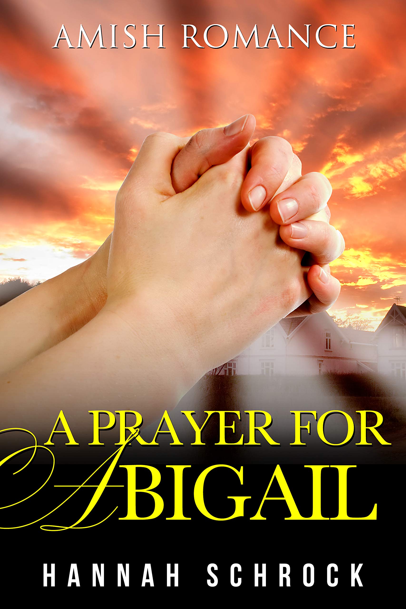 A Prayer for Abigail book cover