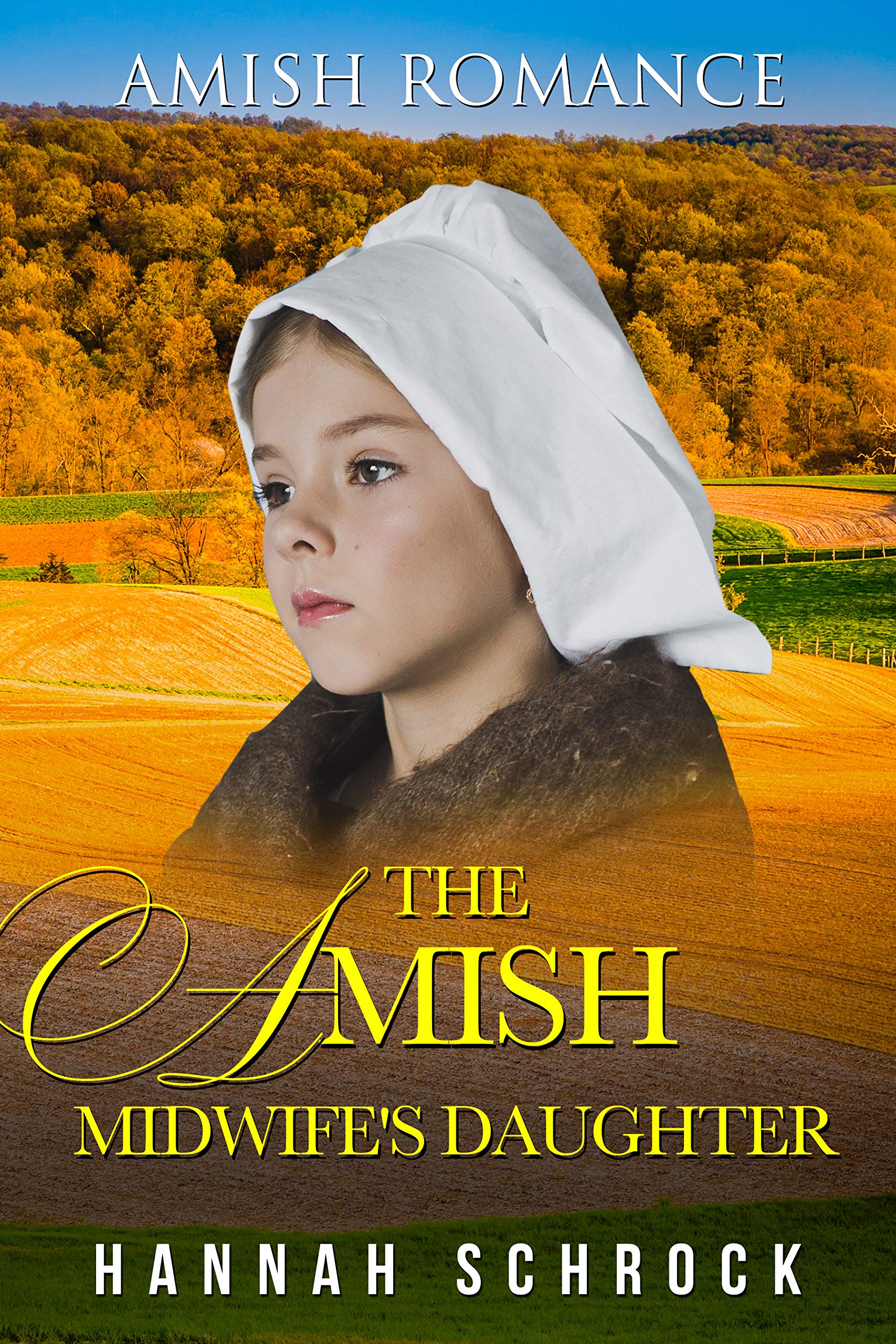 The Amish Midwife's Daughter book cover