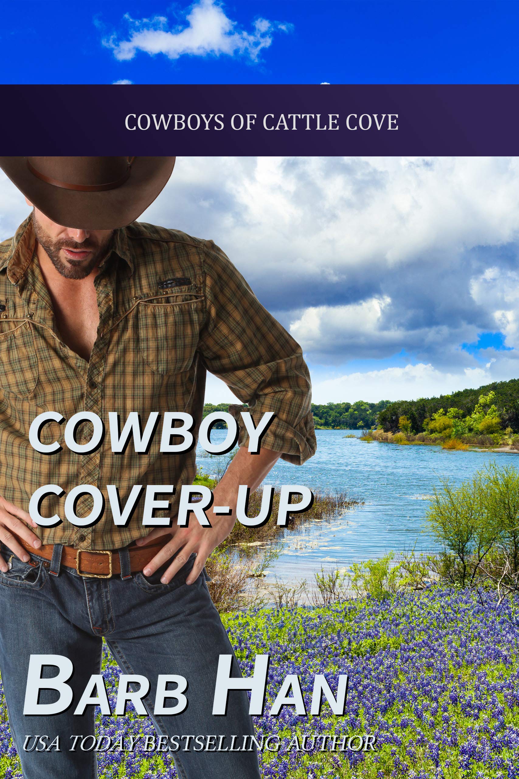 Cowboy Cover-Up book cover