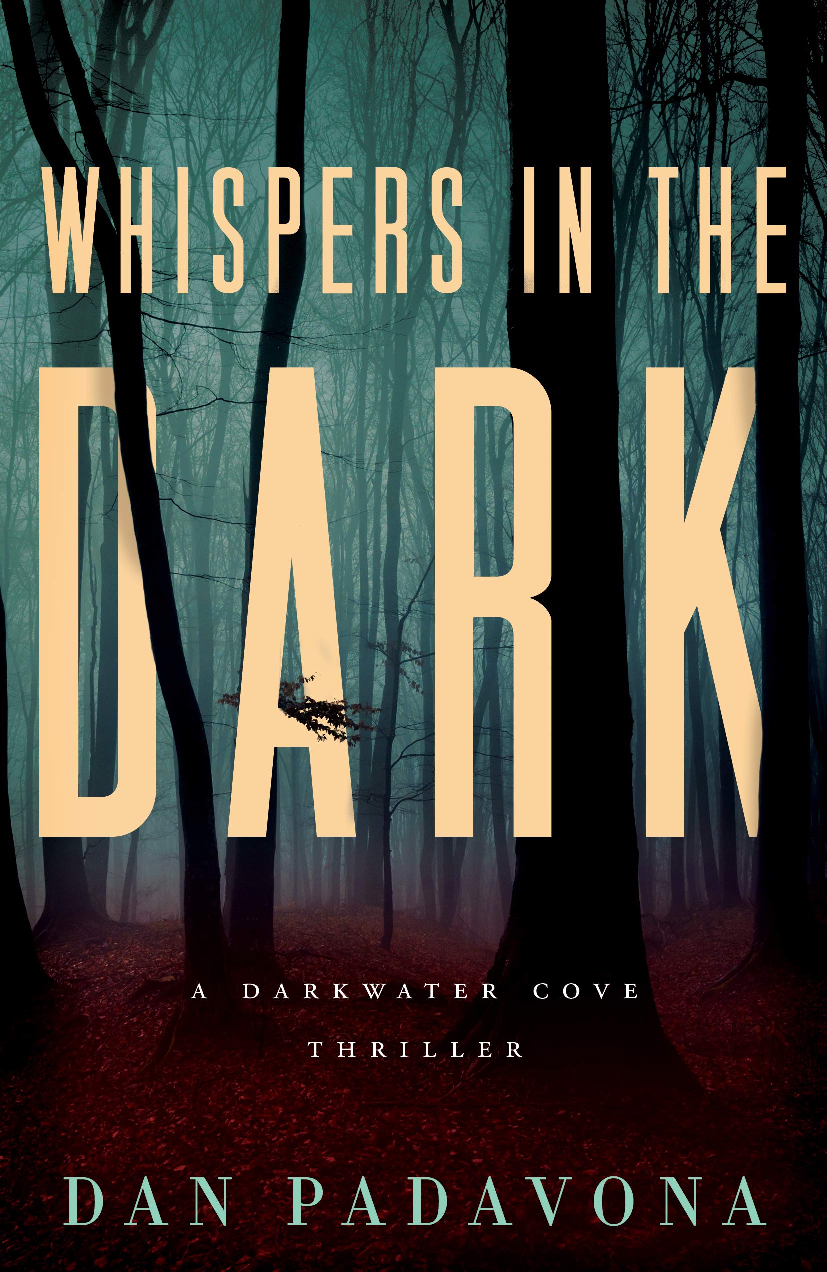 Darkwater Cove book cover 3
