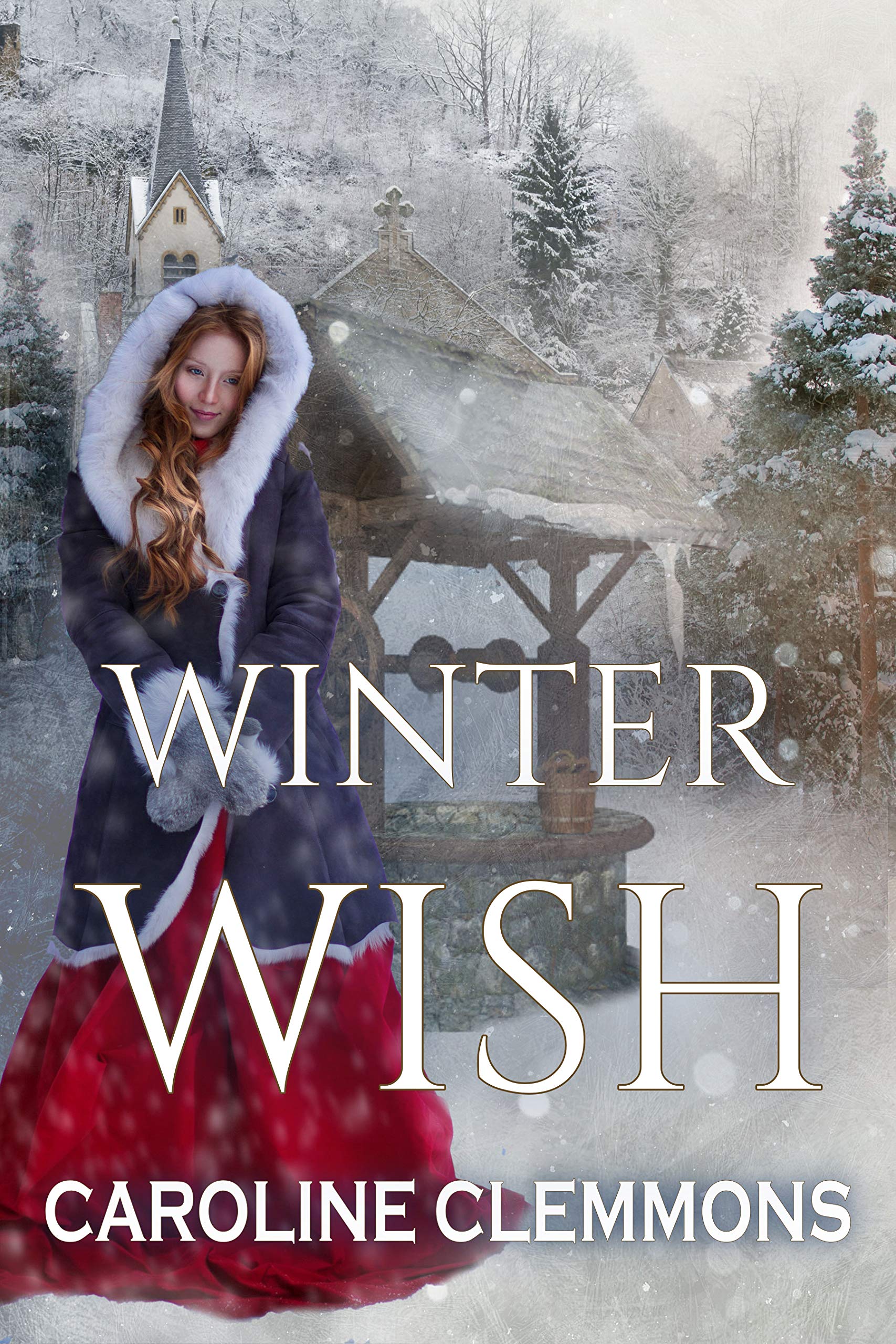Winter Wish book cover