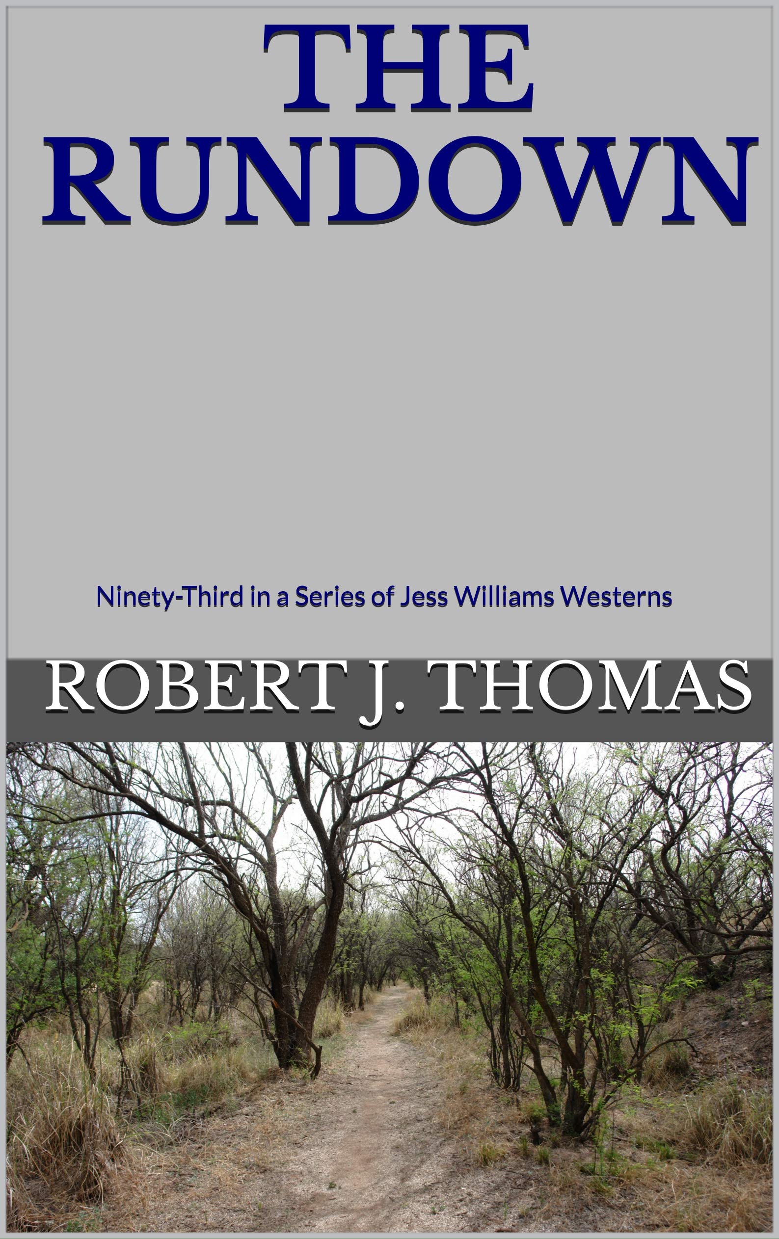 The Rundown book cover