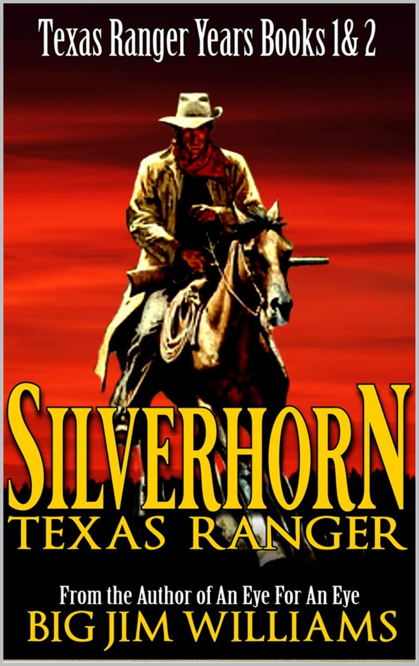 Silverhorn book cover