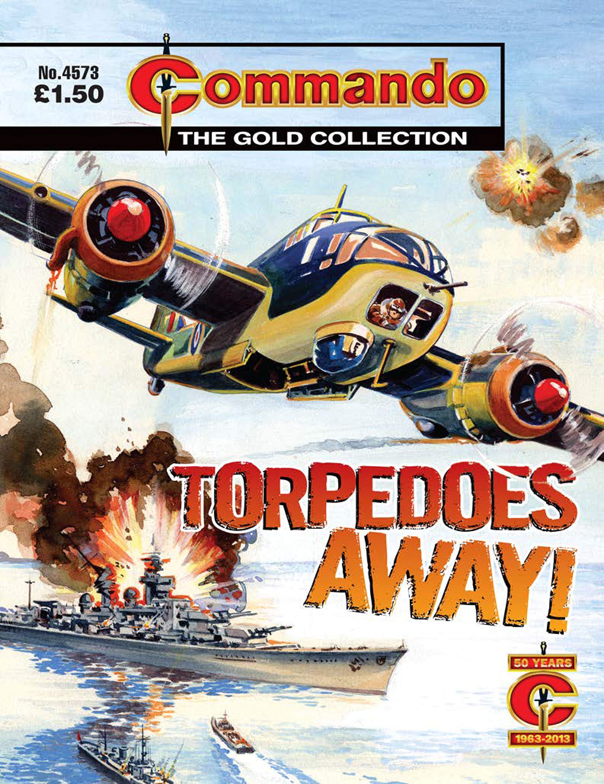 Commando #4573 book cover