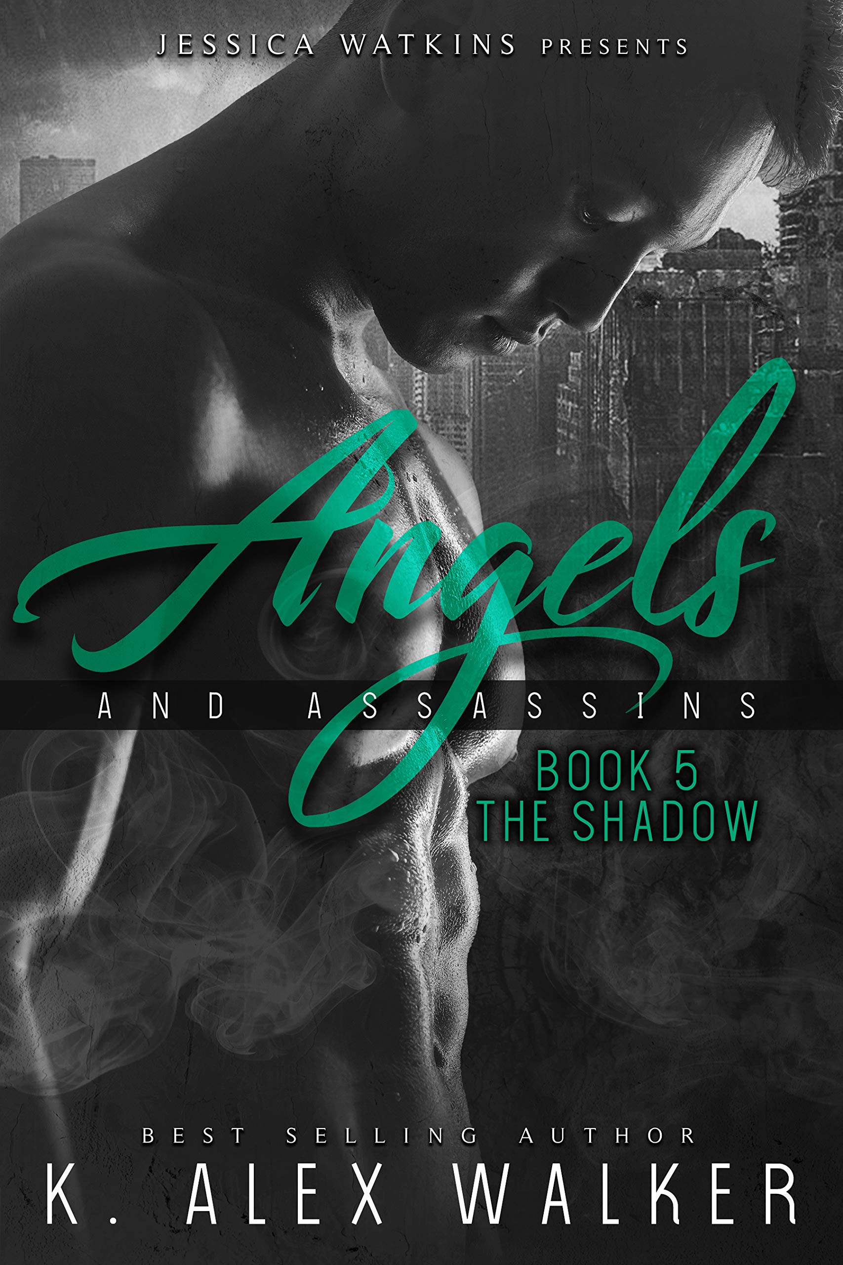 The Shadow book cover
