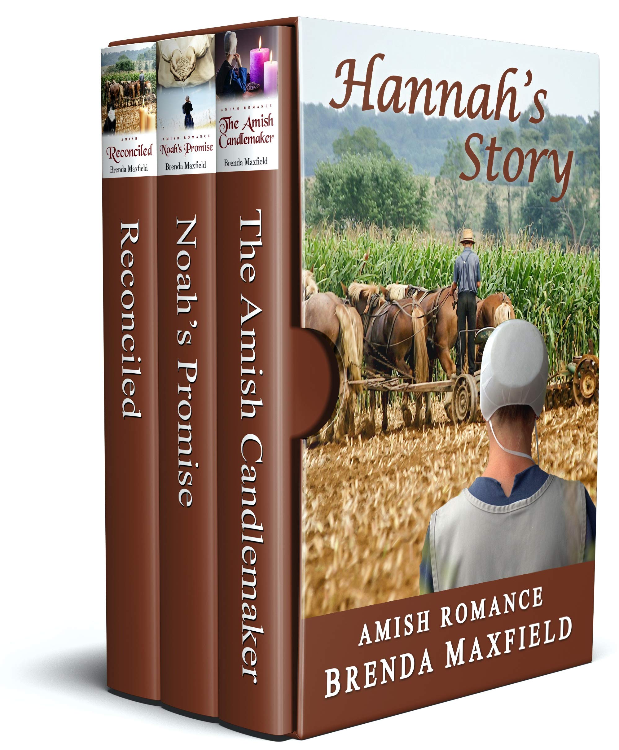 Hannah's Story Amish Romance by Brenda Maxfield Goodreads