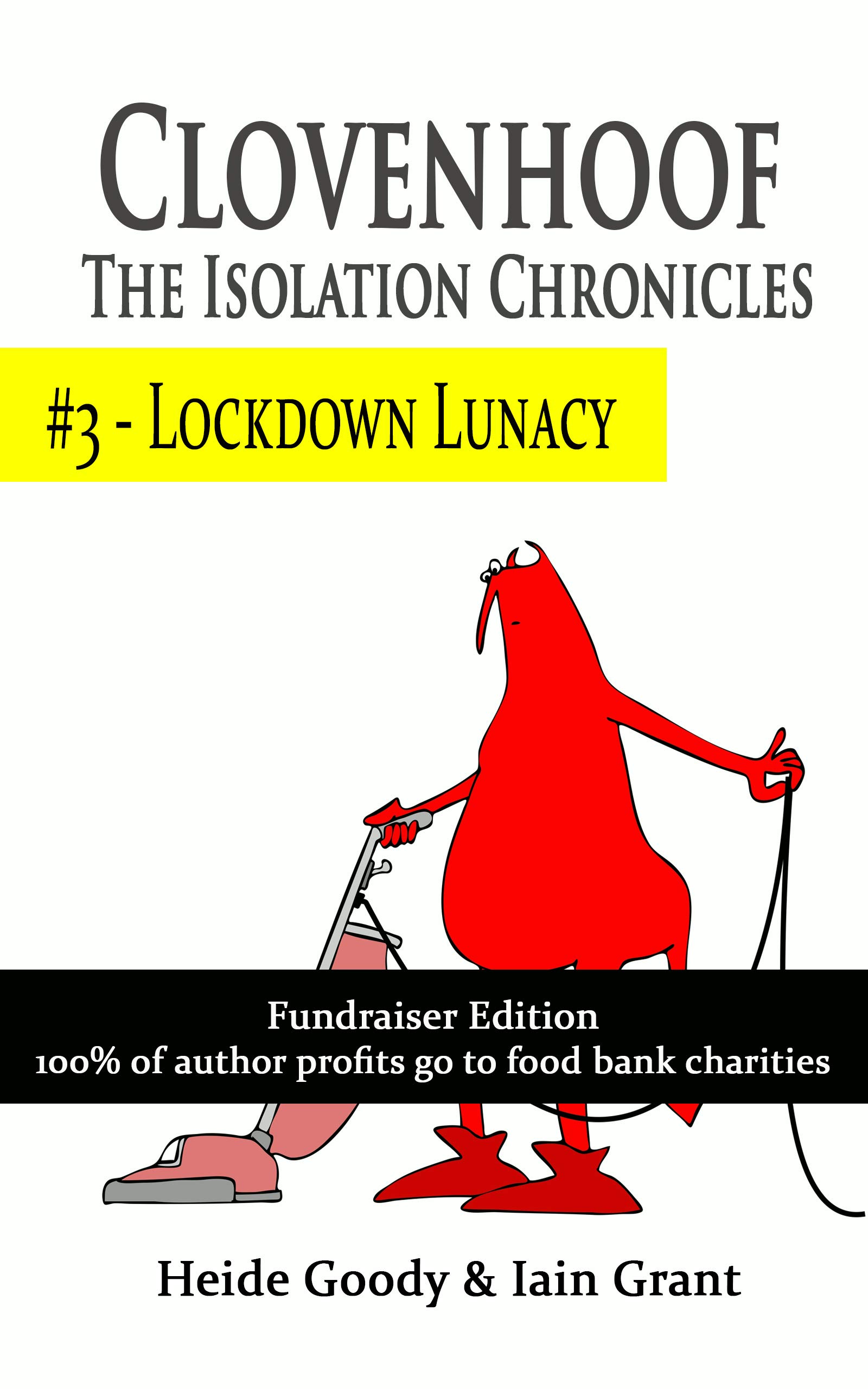 Lockdown lunacy book cover