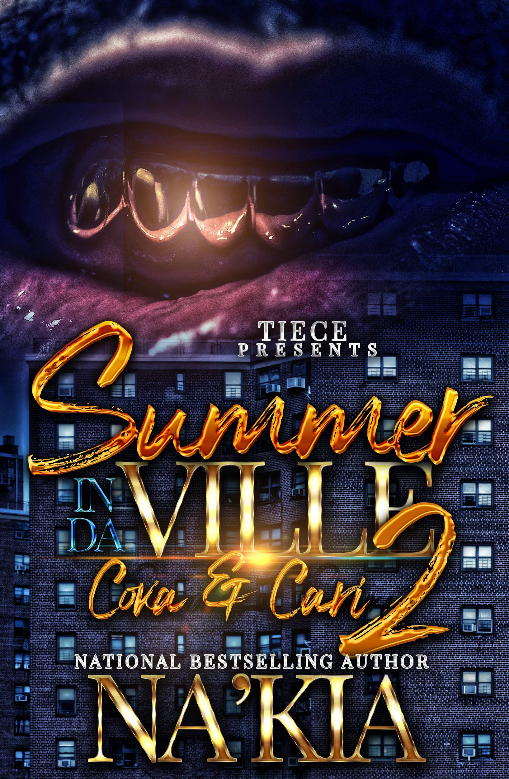 Summer In Da Ville 2 book cover