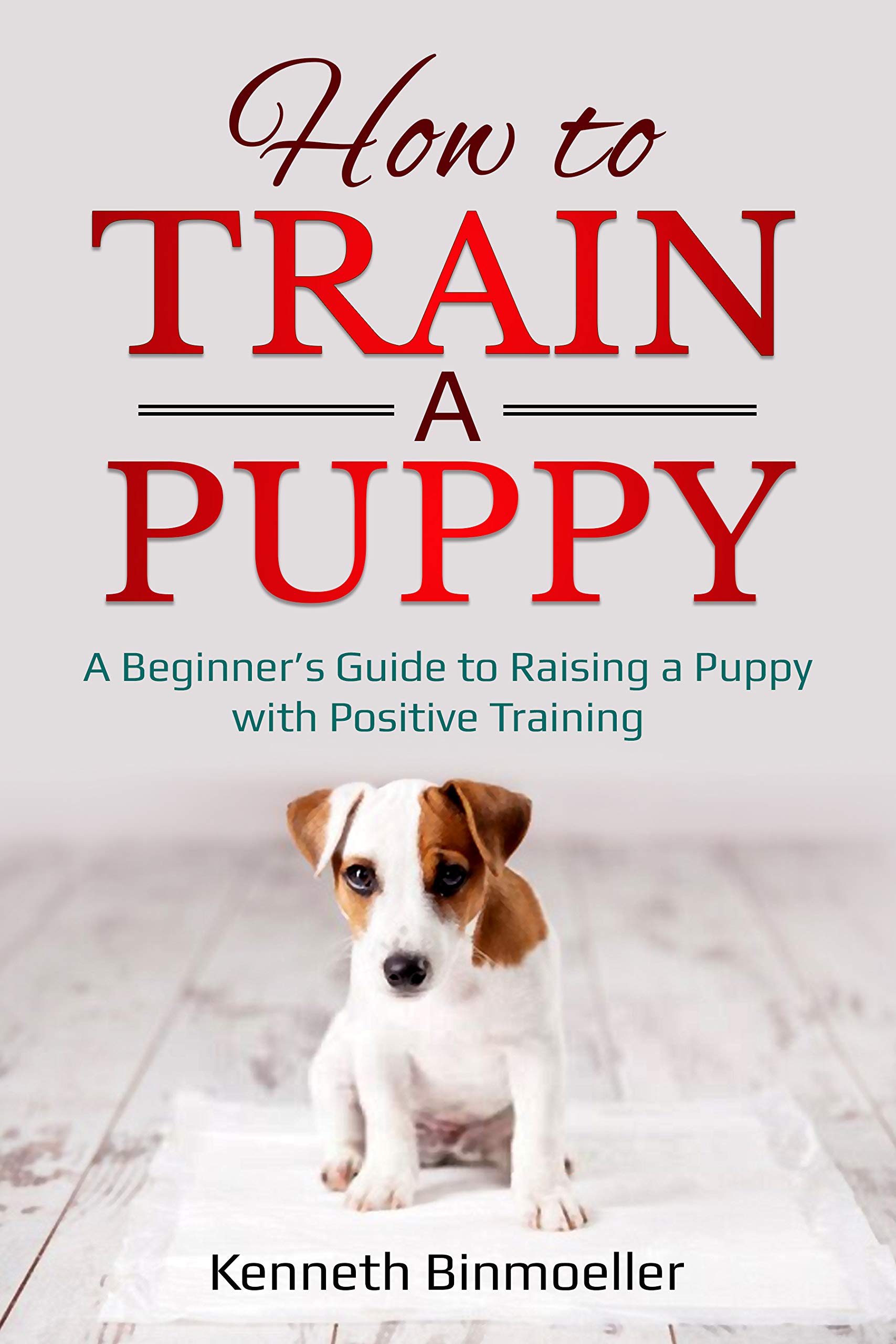 How to Train a Puppy A Beginner’s Guide to Raising a Puppy with