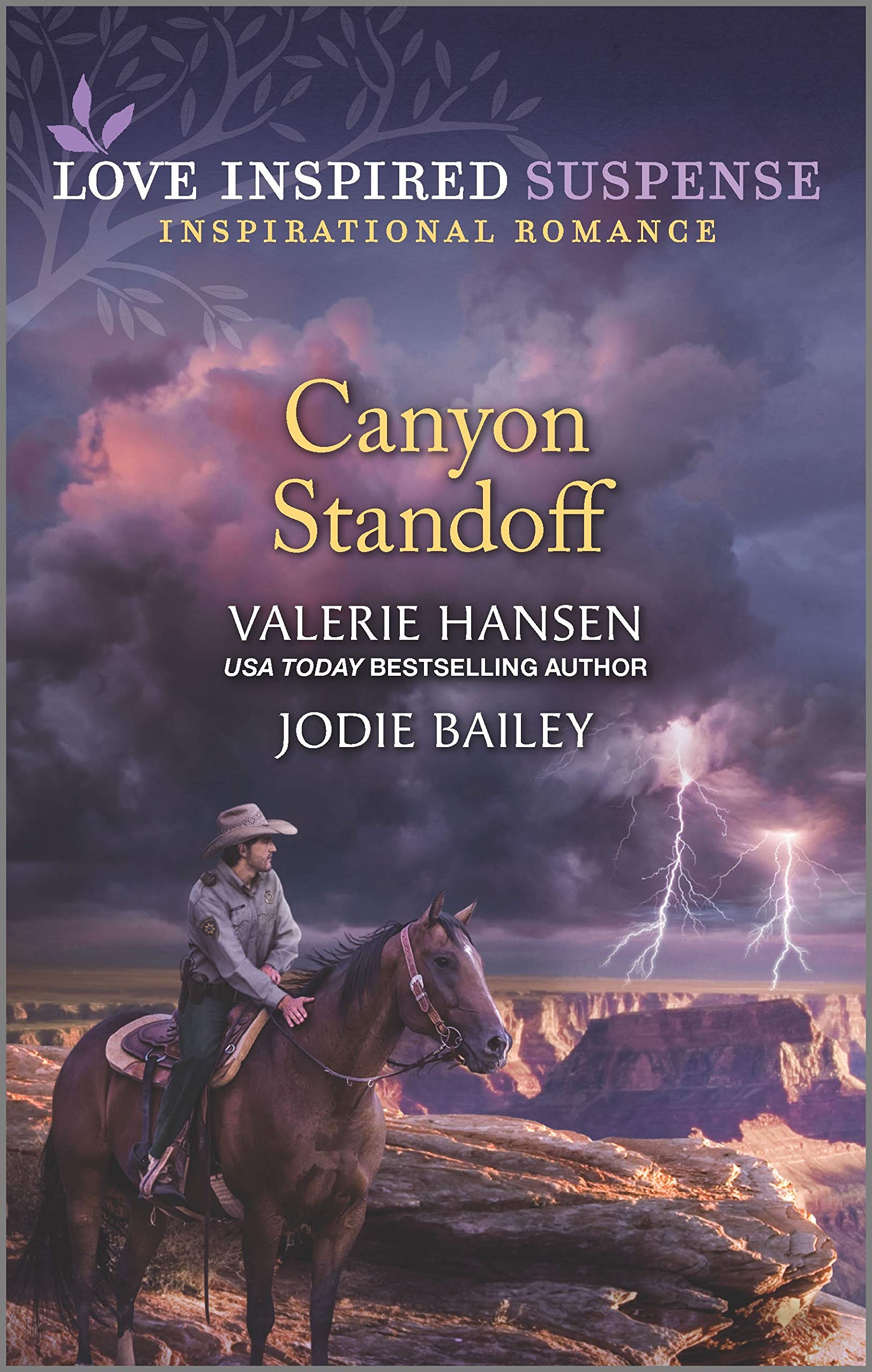 Canyon Standoff book cover