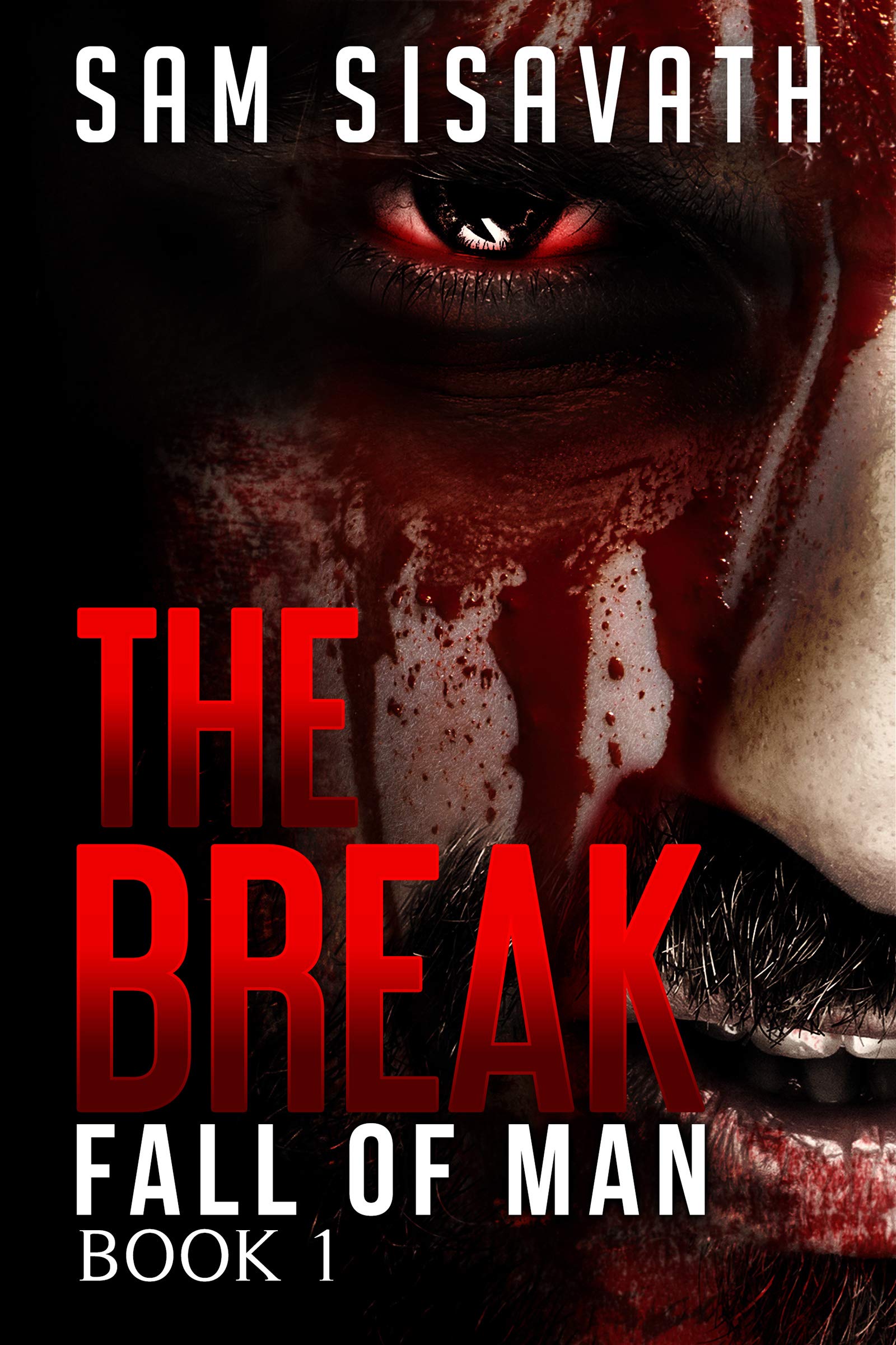 The Break book cover