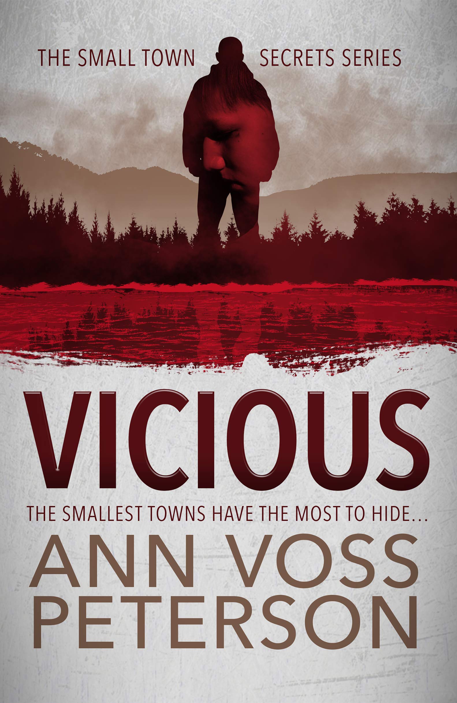 Small Town Secrets: Sins book cover 3
