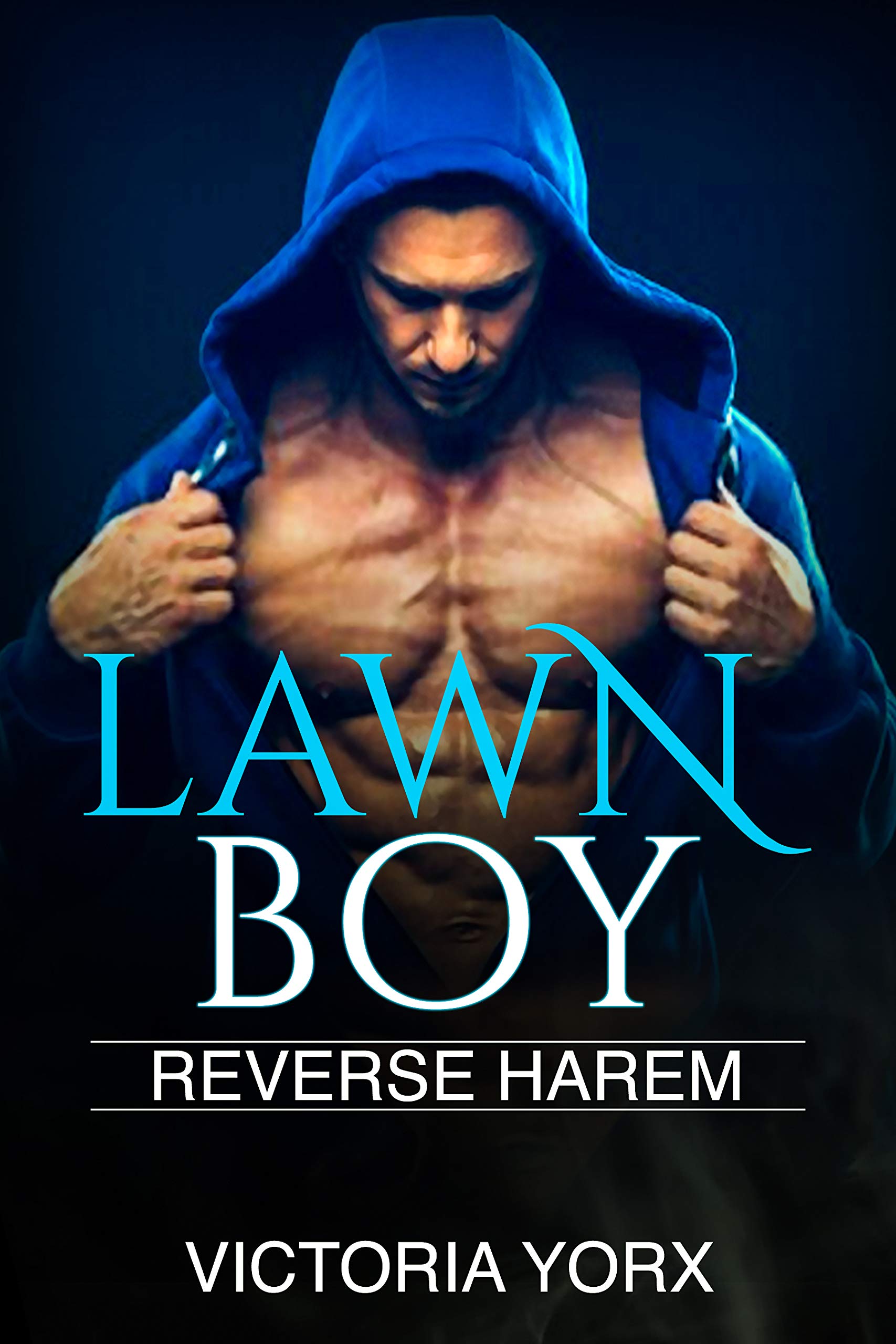 Lawn Boy