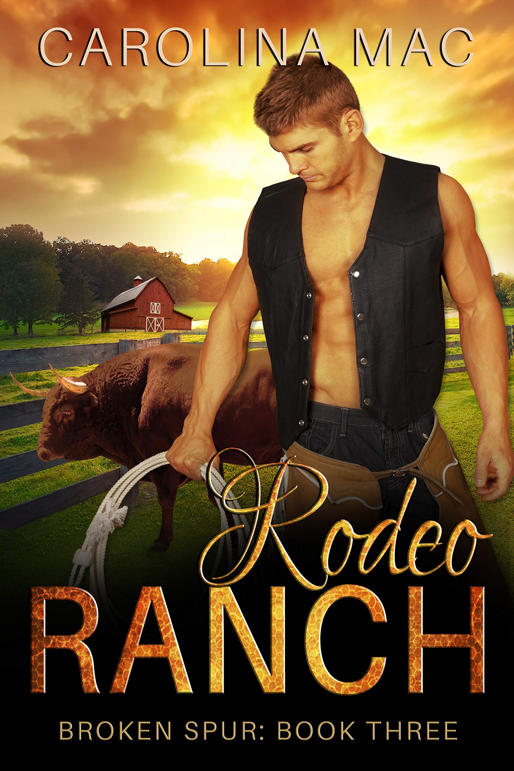 Rodeo Ranch book cover