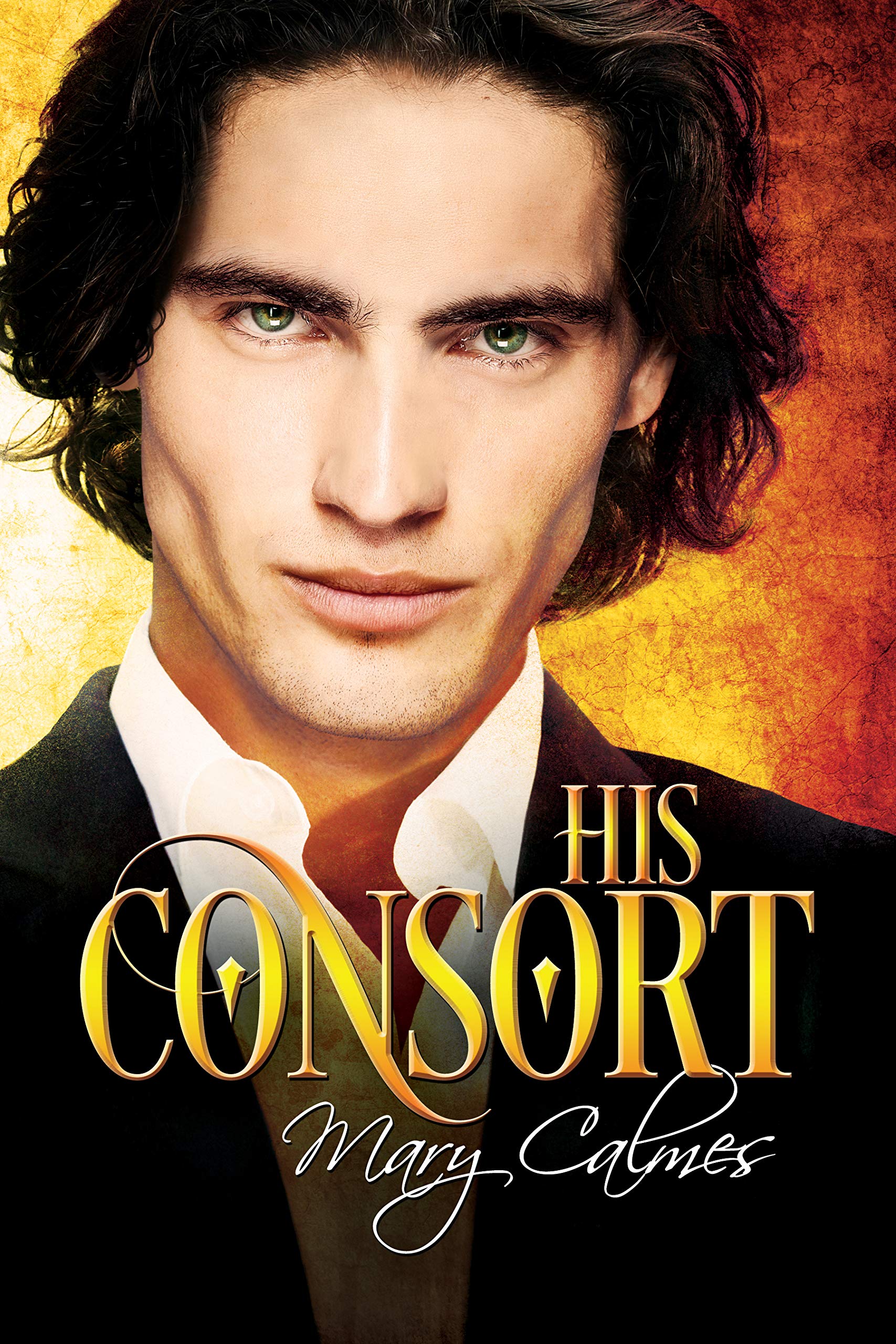 His Consort (House of Maedoc, #1)