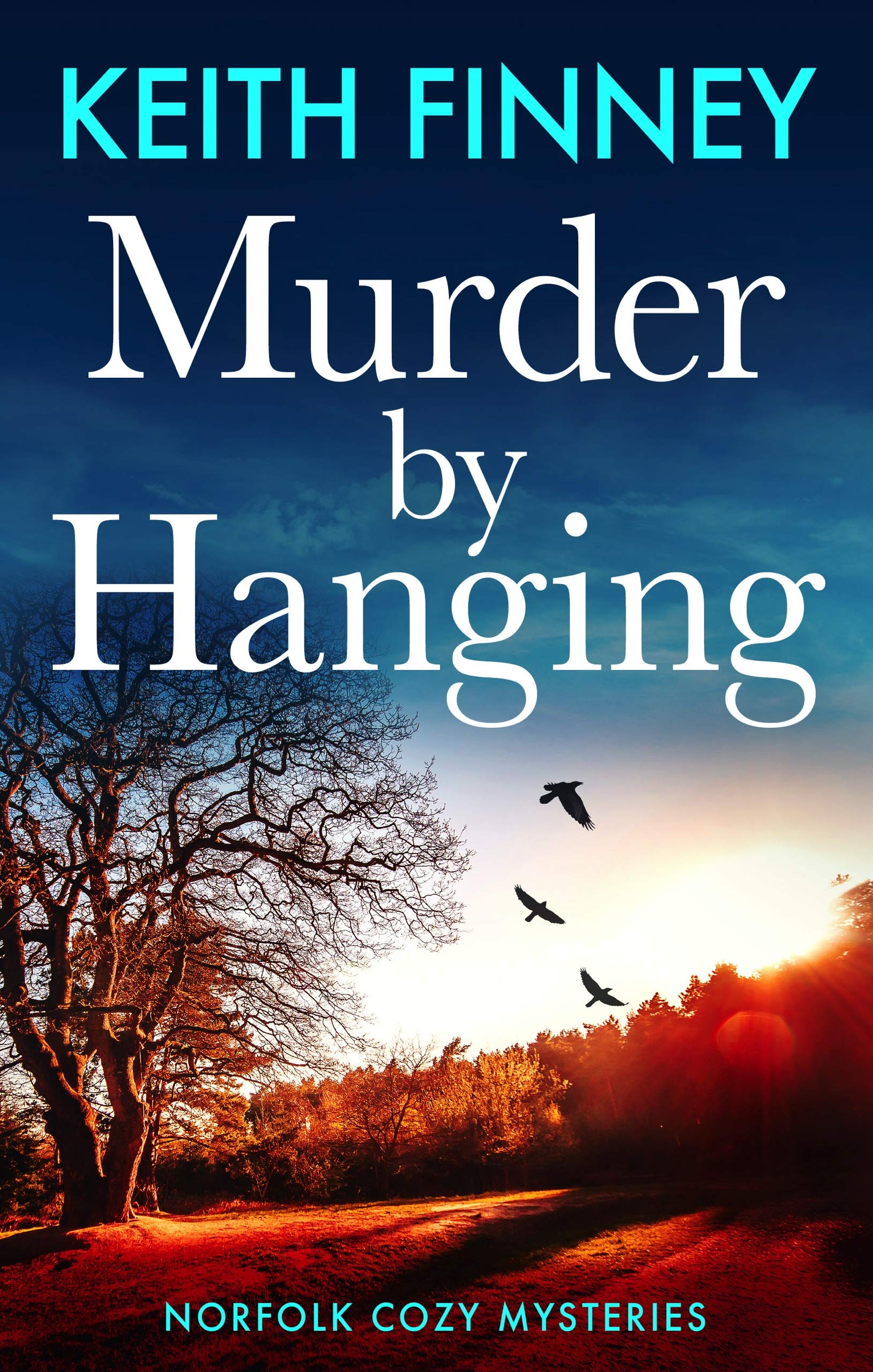 Murder By Hanging Norfolk Cozy Mysteries Book 2 By Keith Finney 