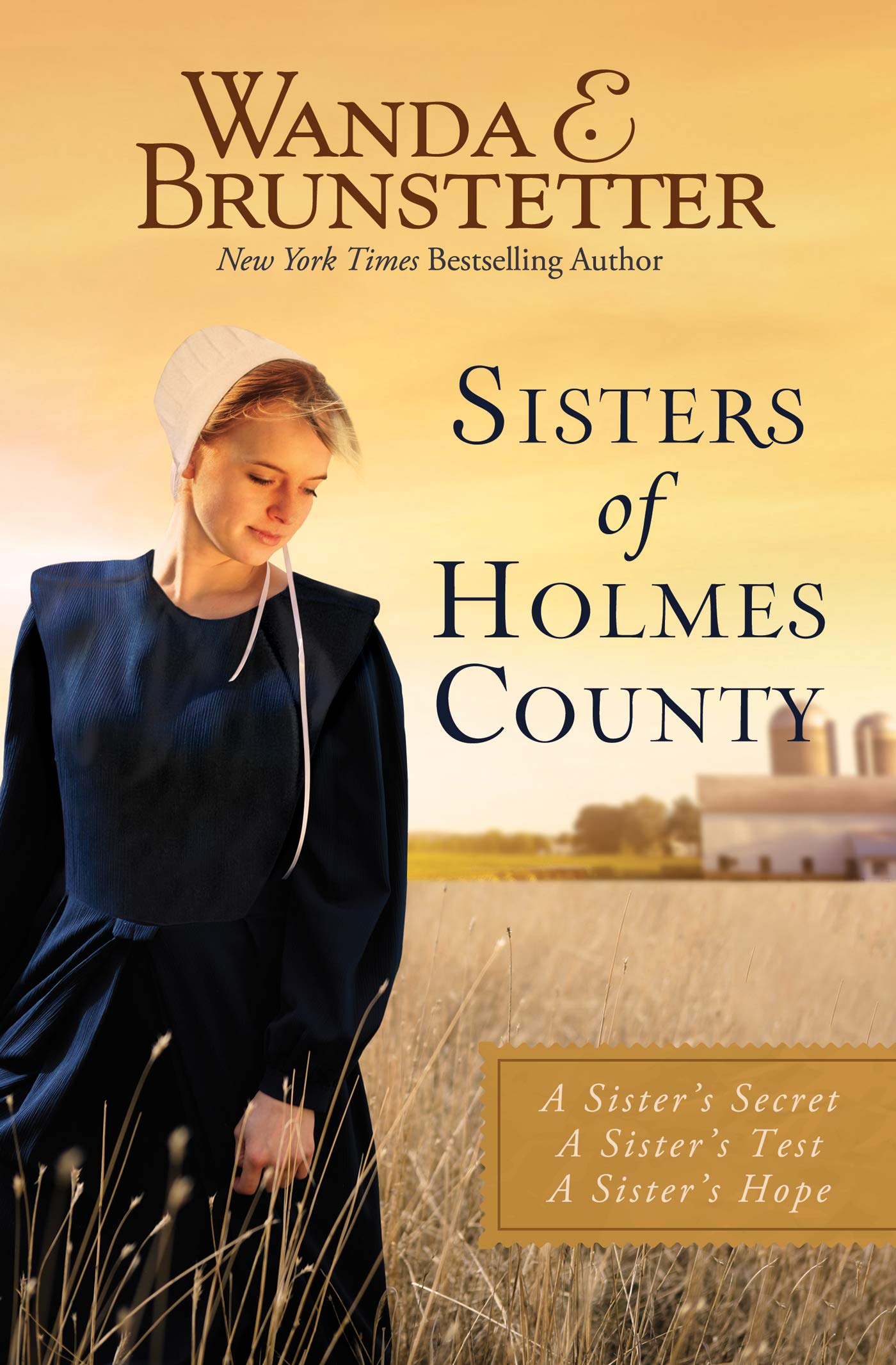 Sisters of Holmes County A Sister's Secret, A Sister's Test, A Sister
