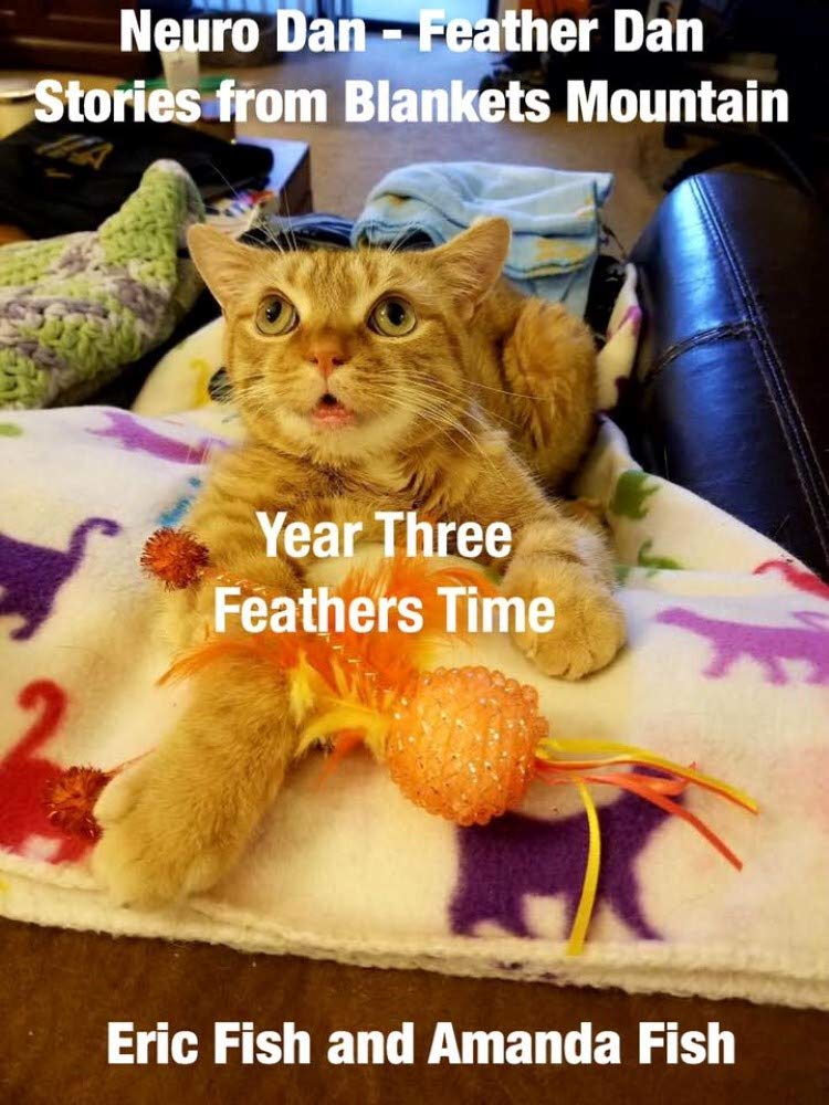 Feathers Time