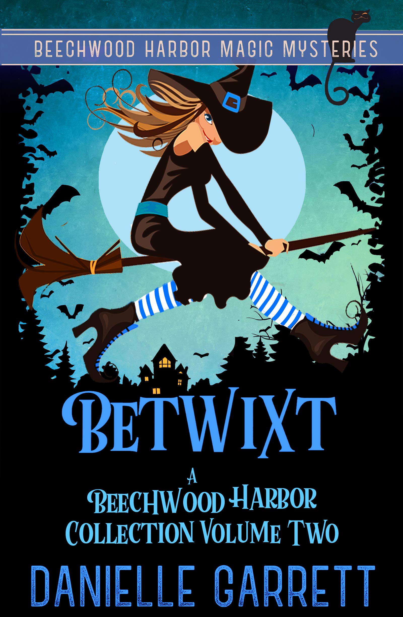Betwixt book cover