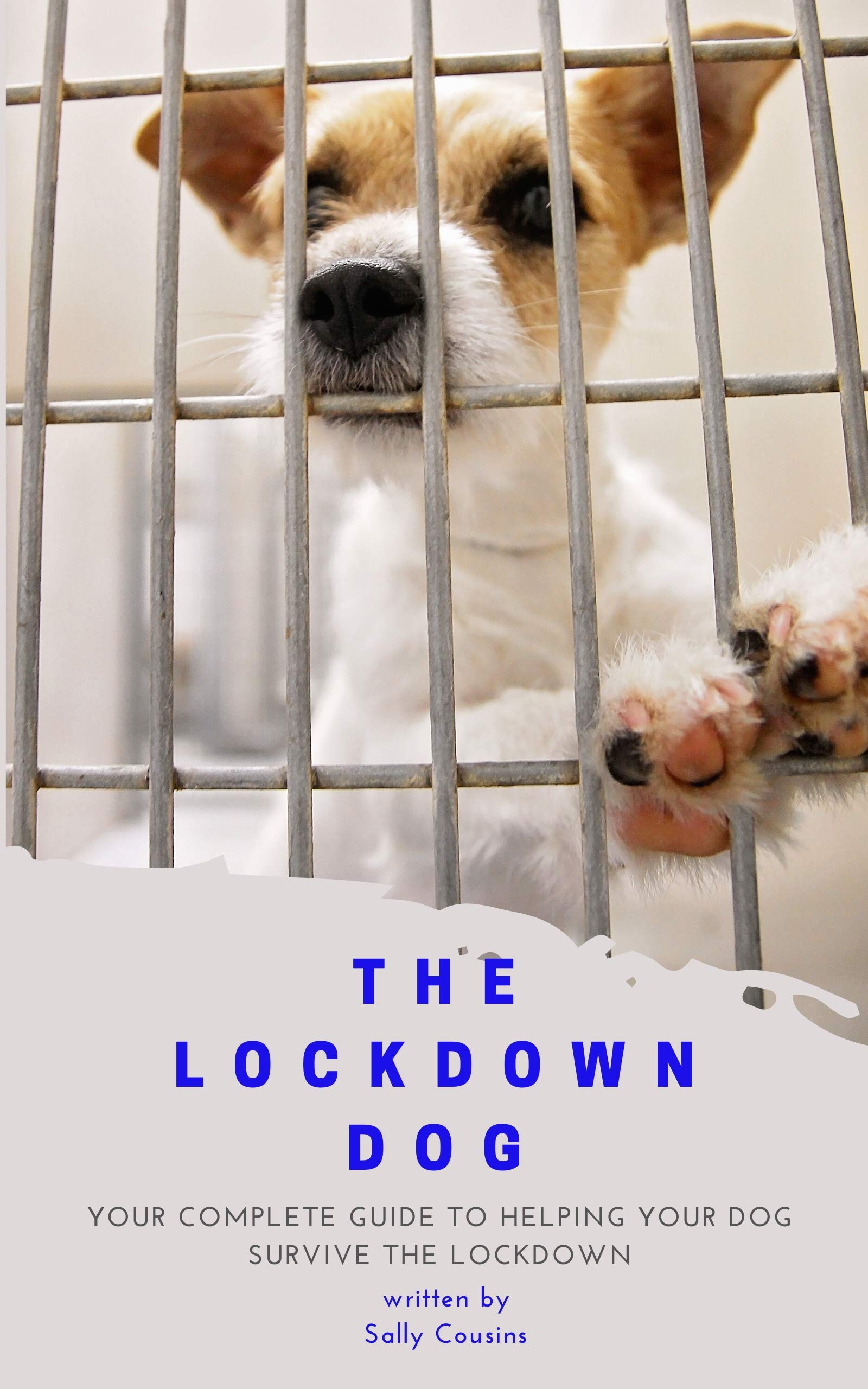 The Lockdown Dog Your complete guide to helping your dog survive the