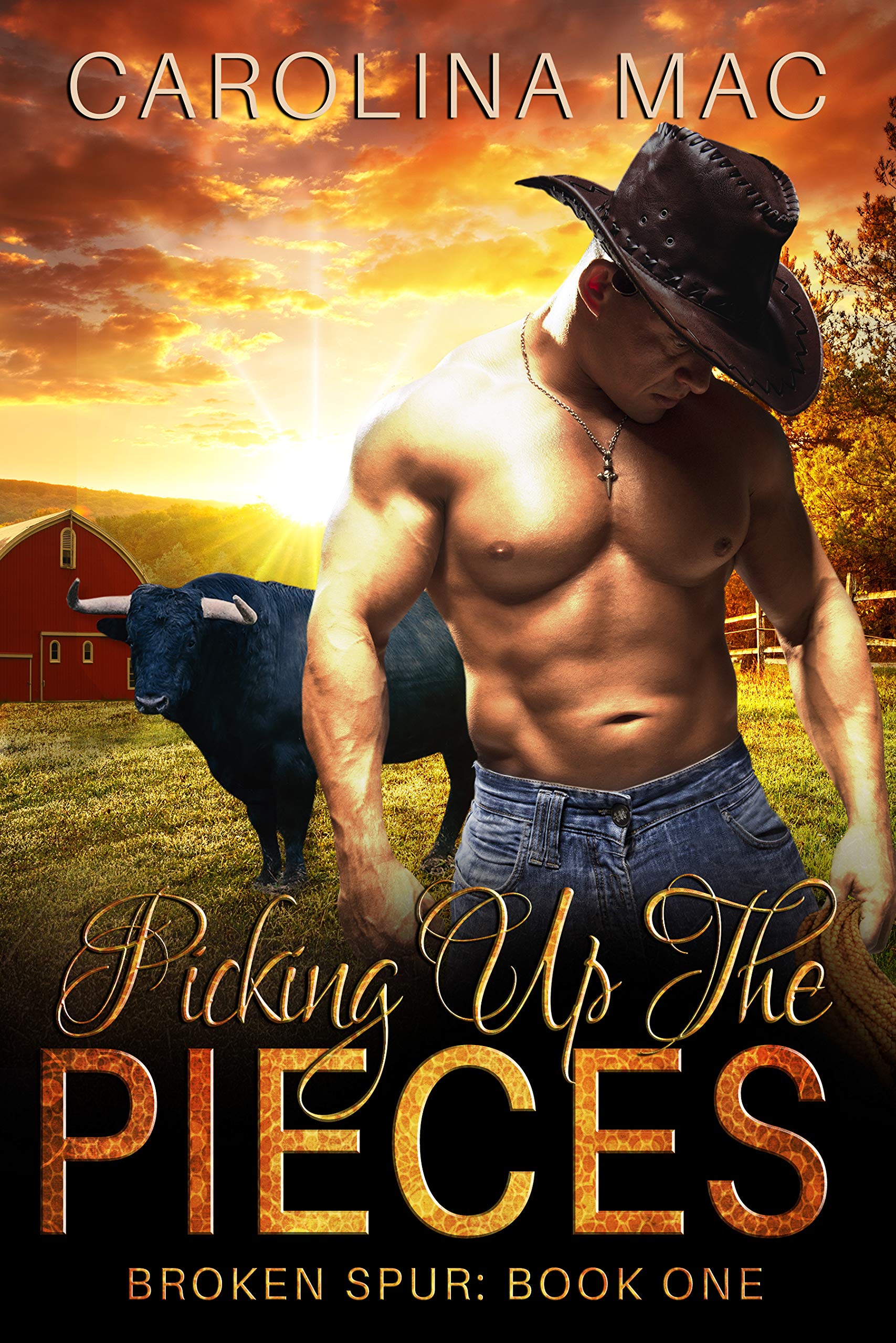 Picking Up the Pieces book cover
