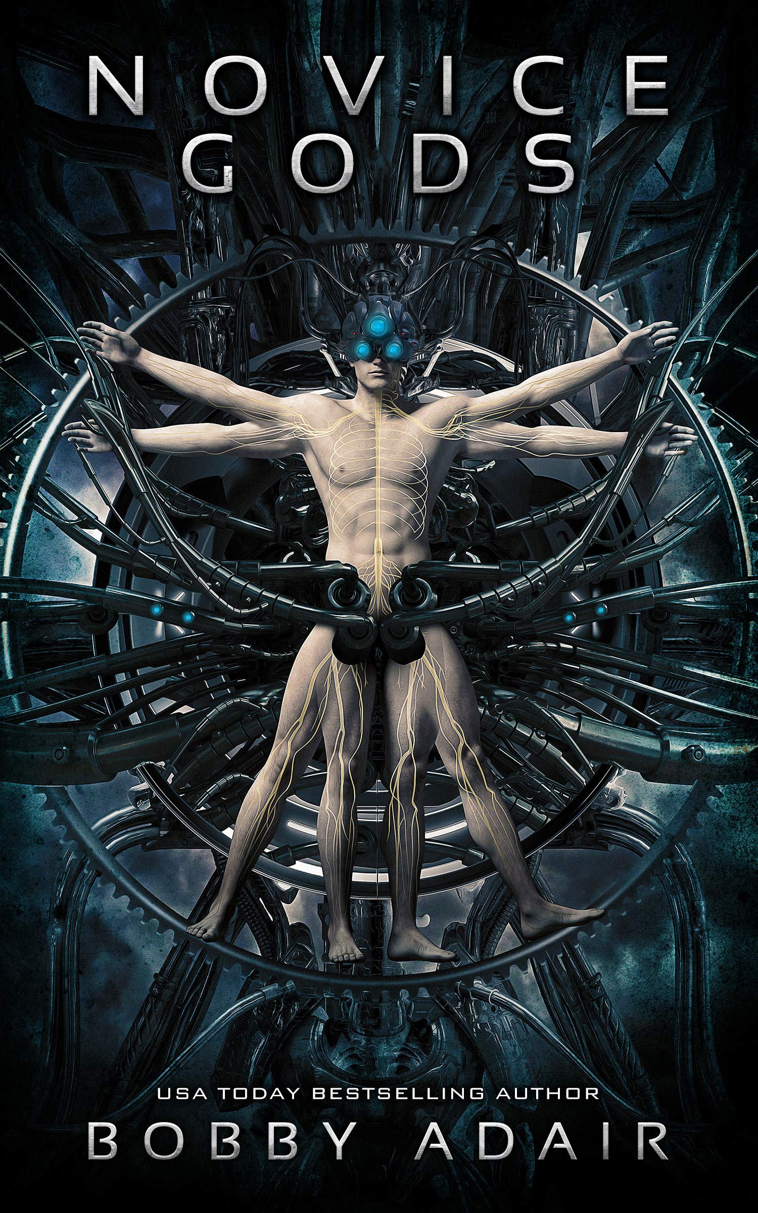 Novice Gods book cover