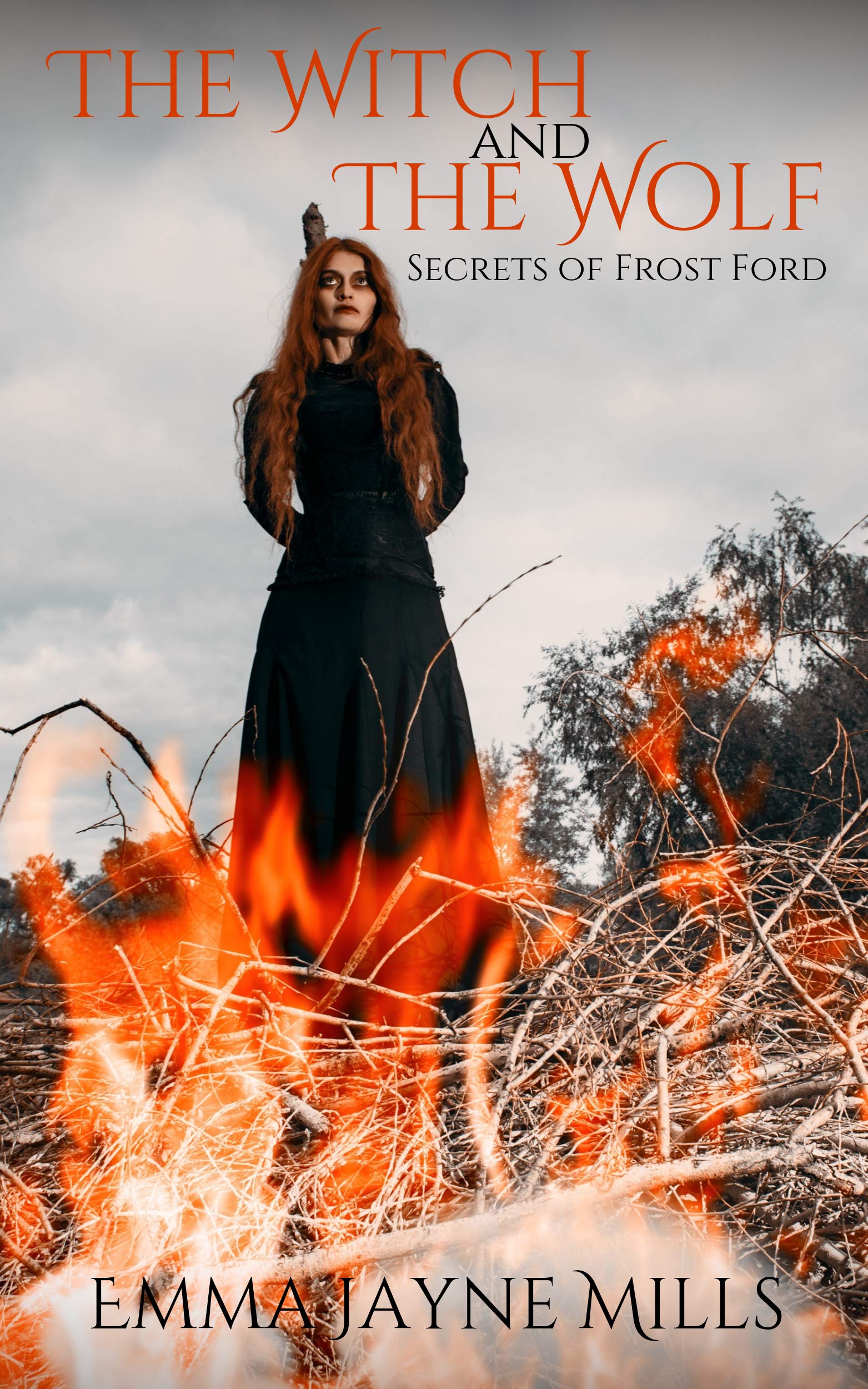 The Witch and the Wolf book cover