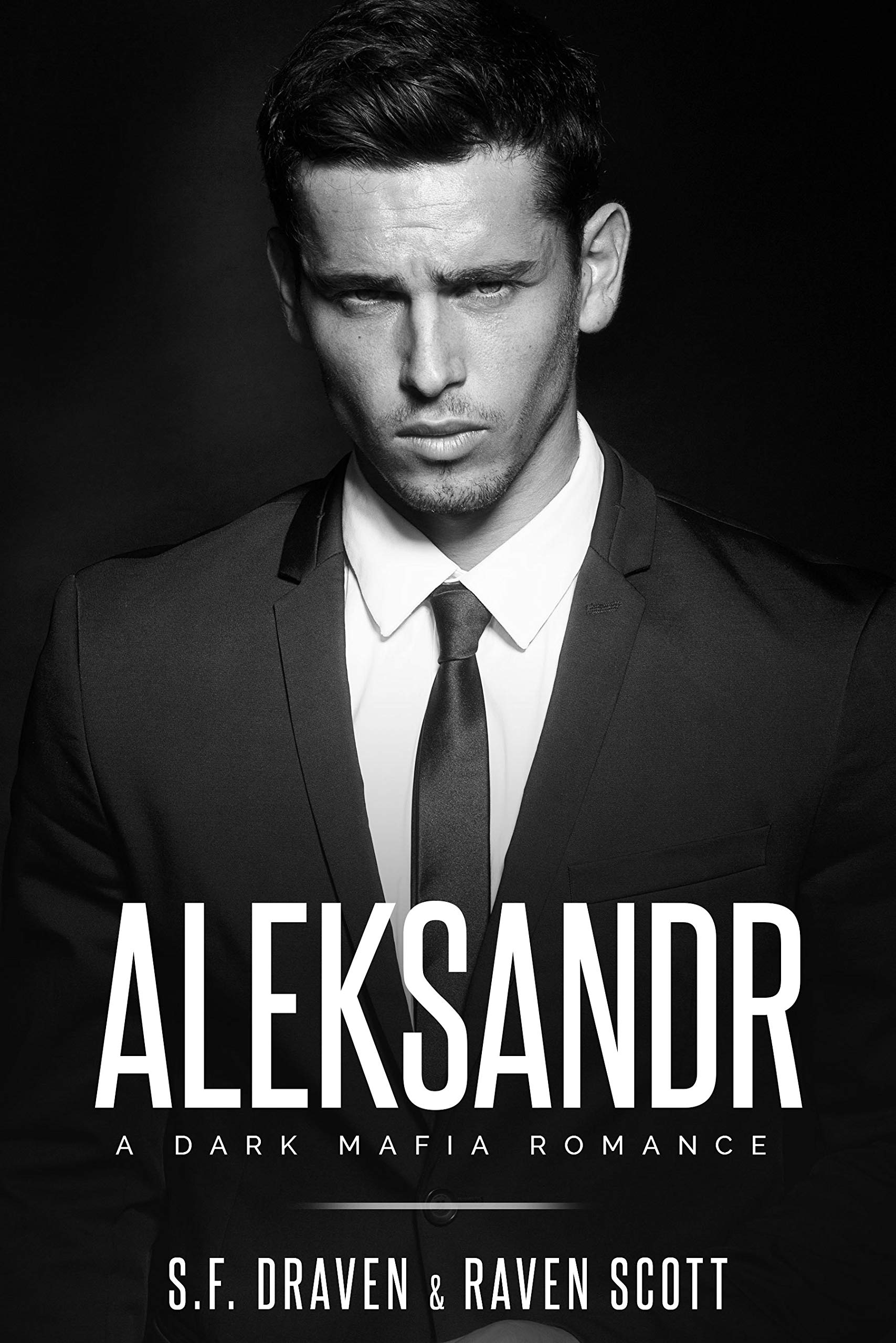 Volkov Brothers book cover 2