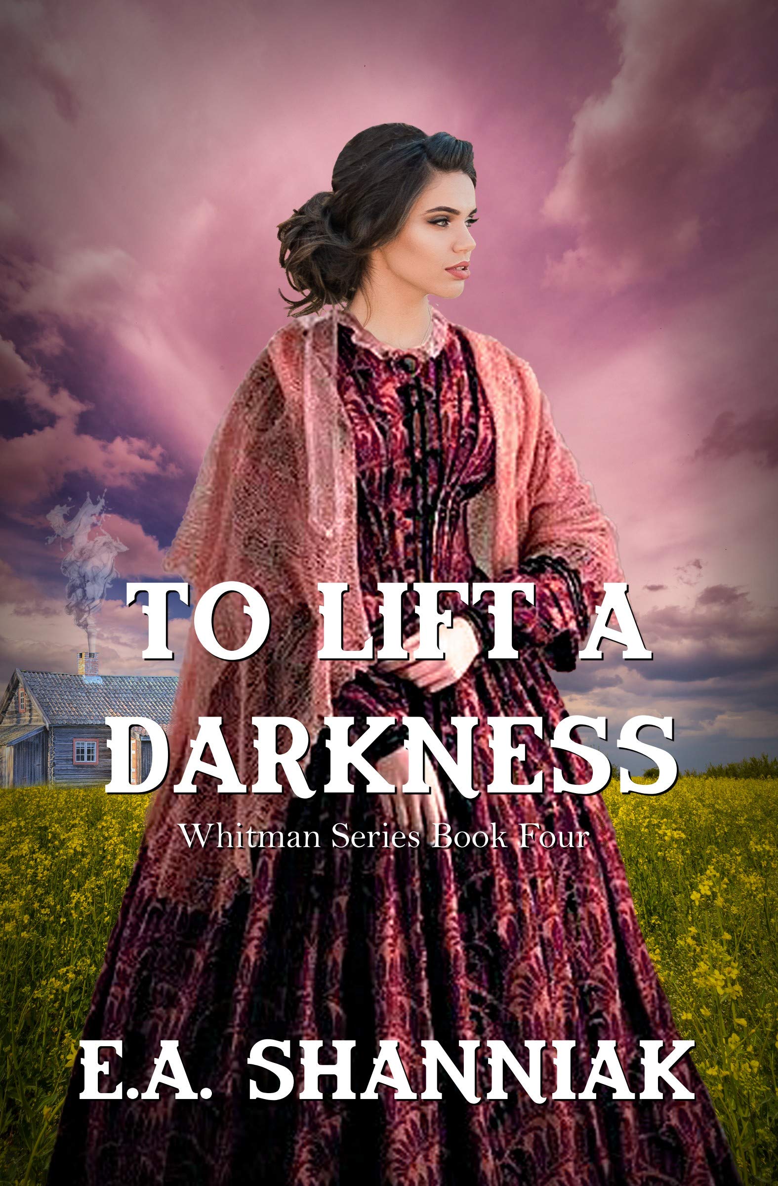 To Lift A Darkness book cover