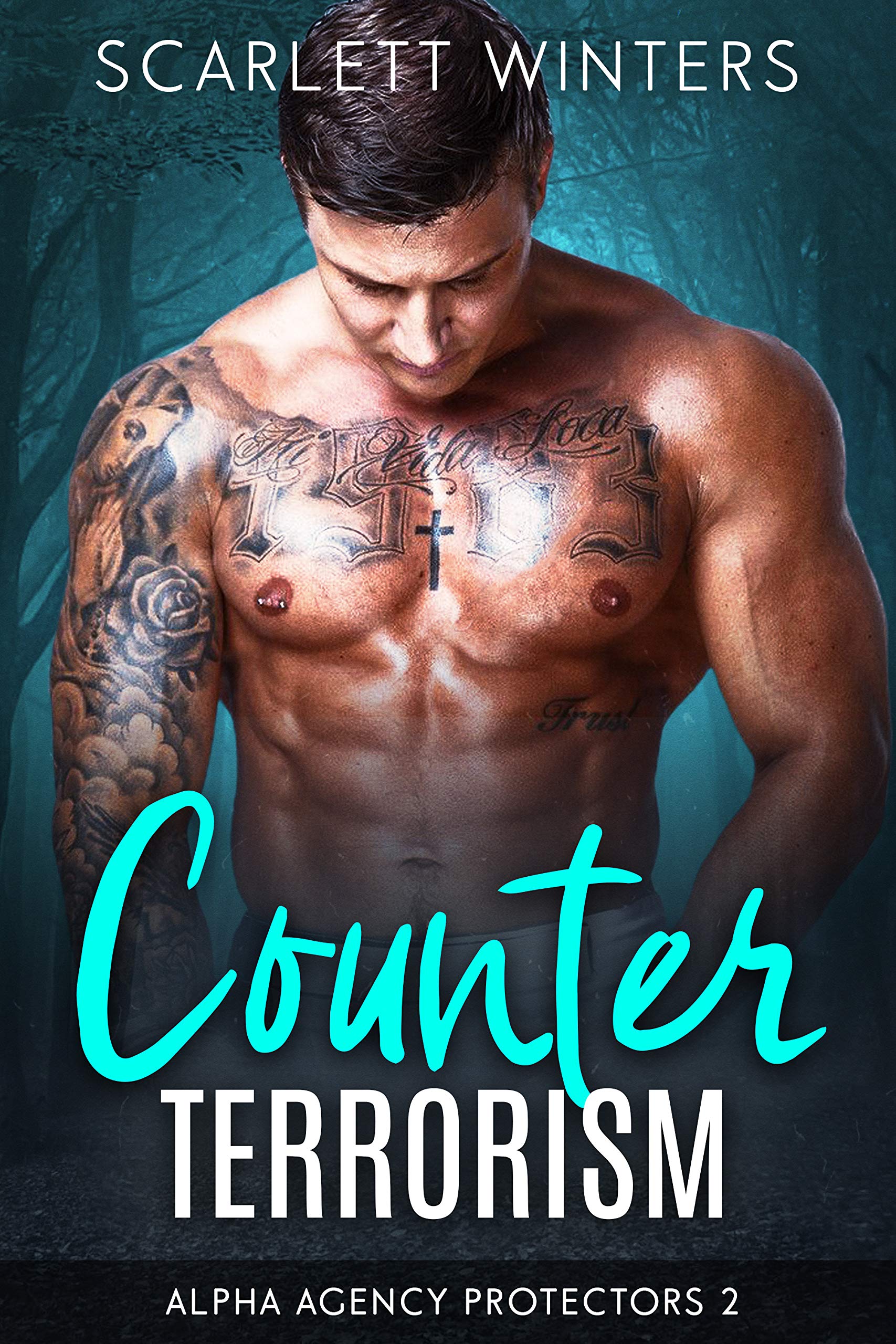 Alpha Agency Protectors book cover 2